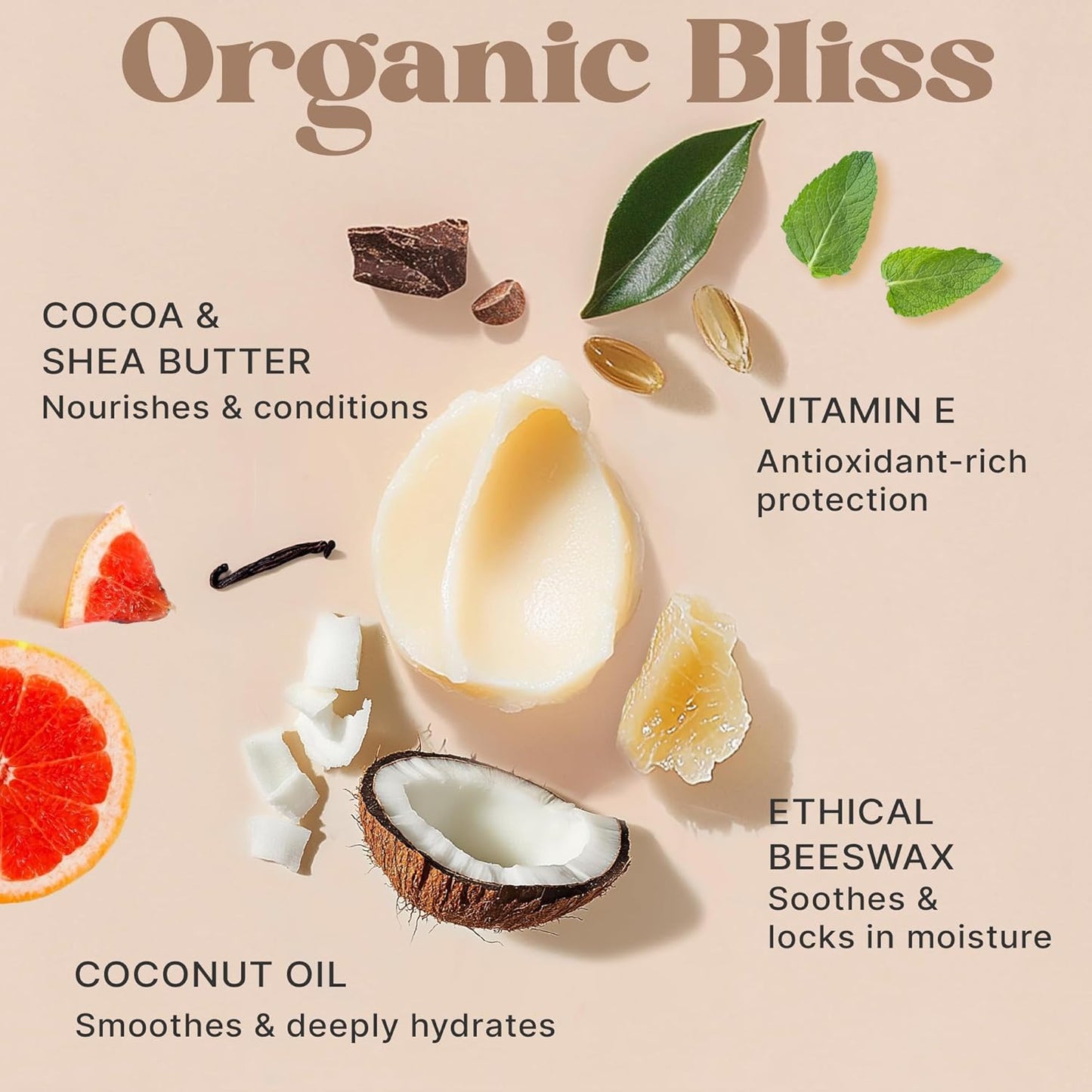 Organic Lip Balm - USDA Certified Natural Ingredients | 12-Pack (6 Flavors) - Moisturizing Beeswax & Coconut Oil for Dry Lips