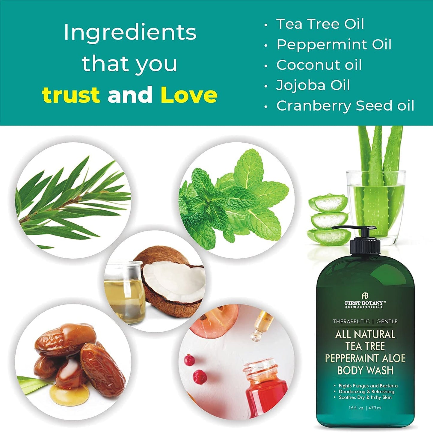 Tea Tree Body Wash - All Natural Eucalyptus & Peppermint Cleanser for Body Odor, Acne, Eczema | 16 fl oz