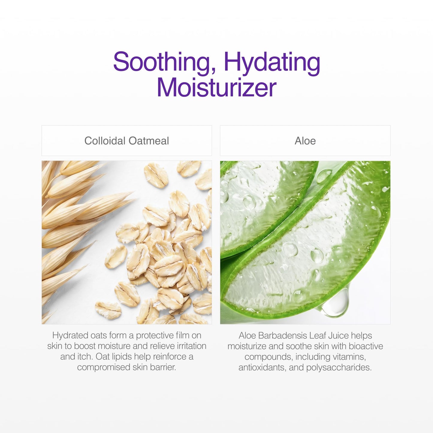 CLn® Body Moisturizer - A skin protectant delivering 2% Colloidal Oatmeal, Paraben-Free, Dye-Free & Fragrance-Free, 8 fl. oz.
