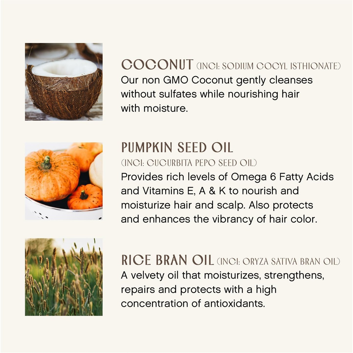 INNERSENSE Organic Beauty - Bright Balance Purple Toning Conditioner | Coconut + Pumpkin Seed Oil to Nourish + Moisturize Light + Gray Hair | Non-Toxic, Cruelty-Free | Paraben Free (10 fl oz | 295 ml)