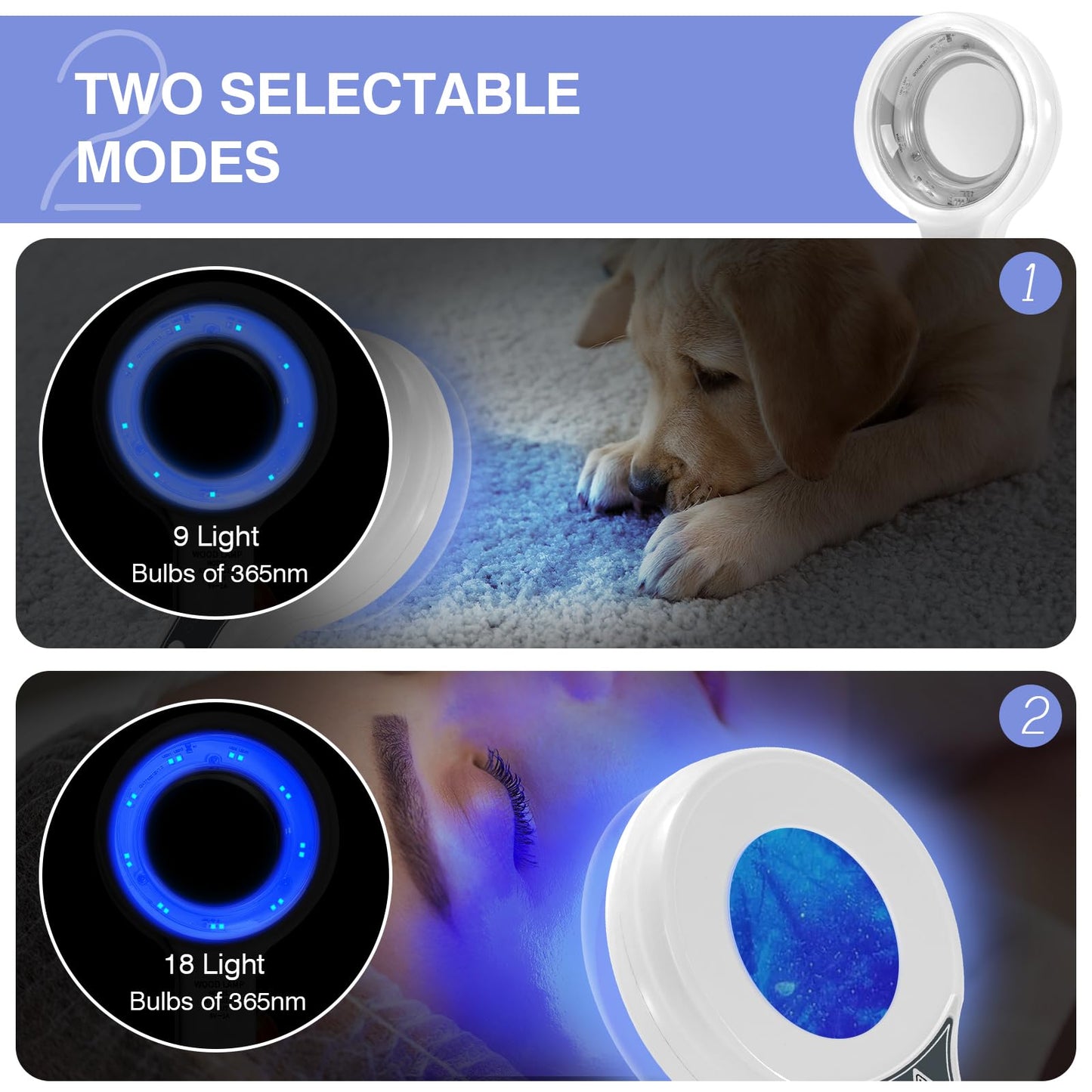 Yofuly Facial Lamp