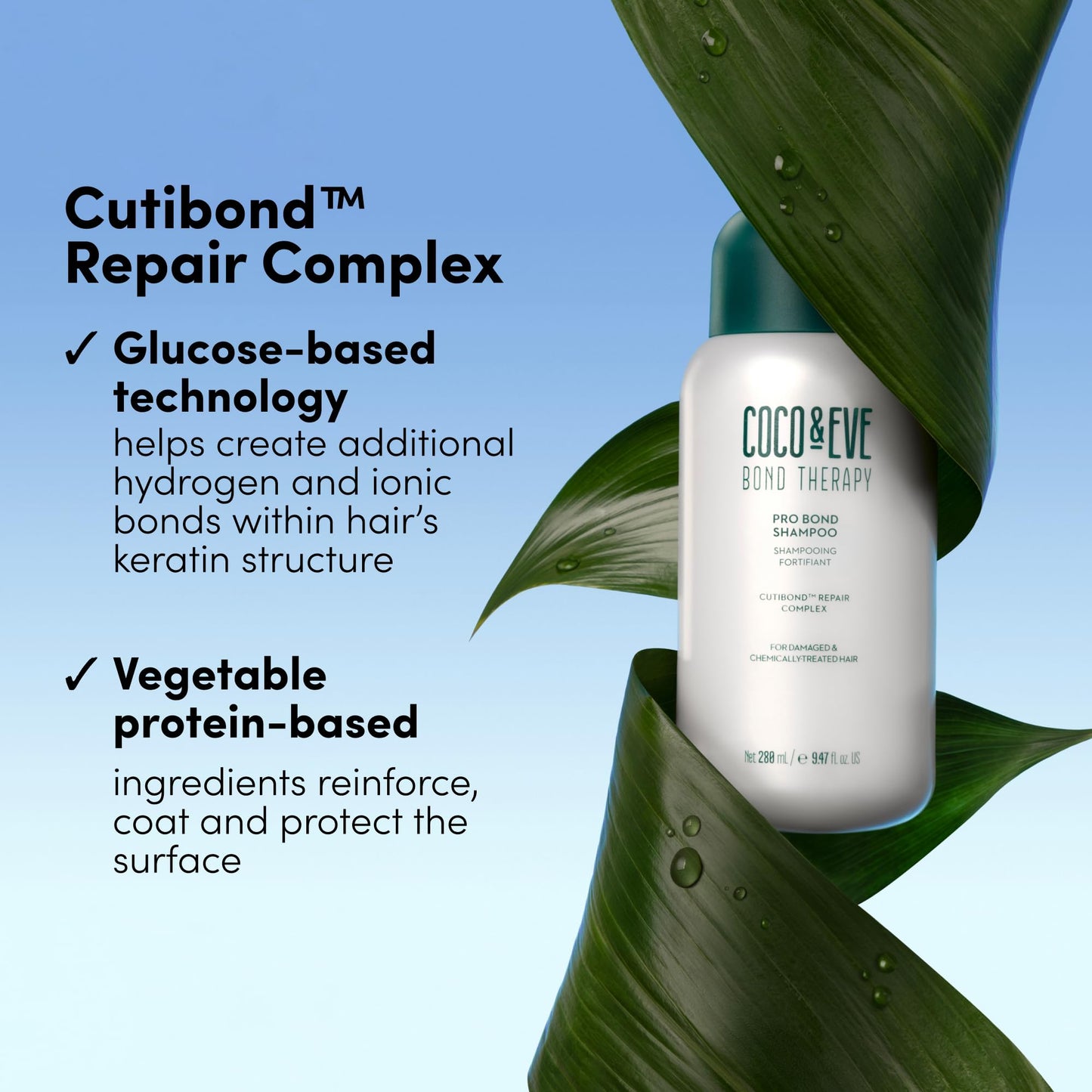 Coco & Eve Bond Therapy Pro Bond Shampoo. Strengthens and Repairs Hair Bonds with Less Breakage. Hydrating & Fortifying Shampoo for Damaged, Chemically Treated Hair. (9.47 fl oz)