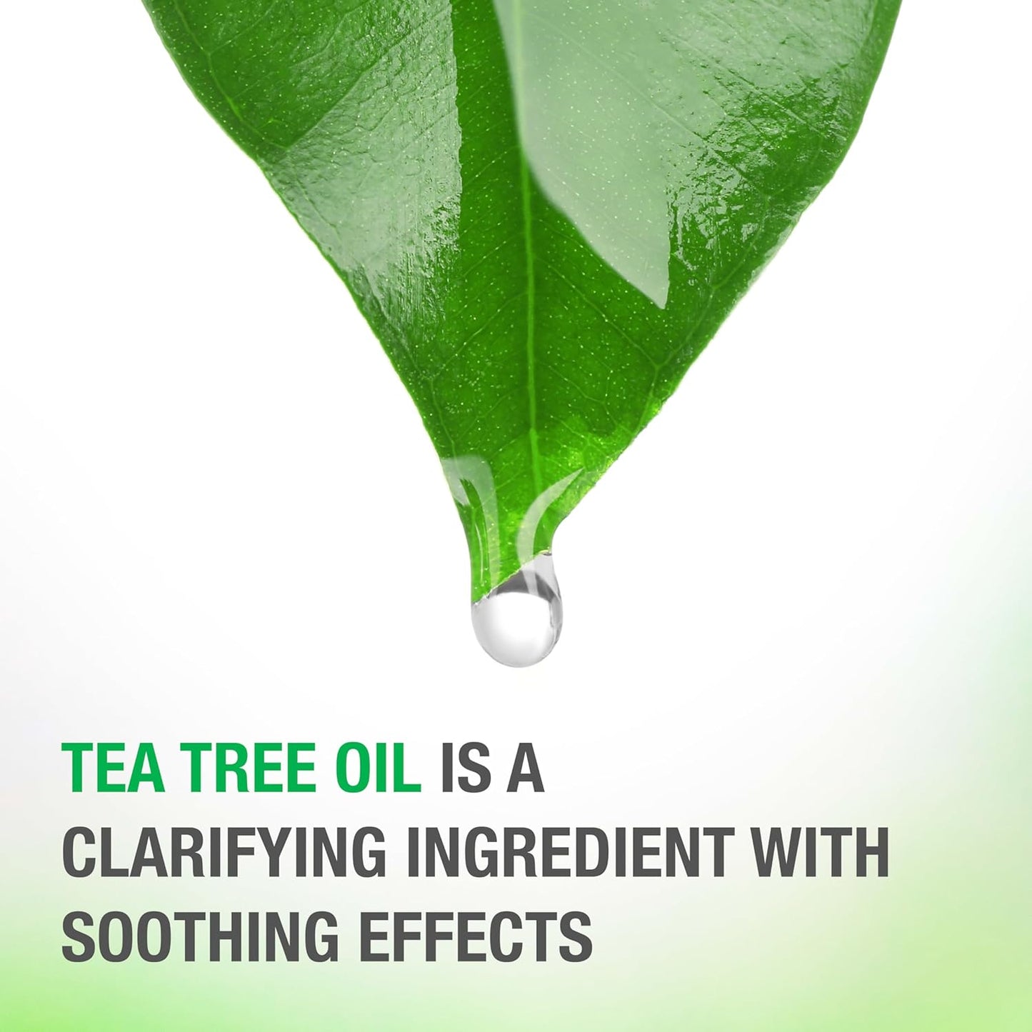 Neutrogena Tea Tree Oil Conditioner - Soothing & Calming Formula for Healthy Hair | 12 fl oz, pH-Balanced, Paraben-Free