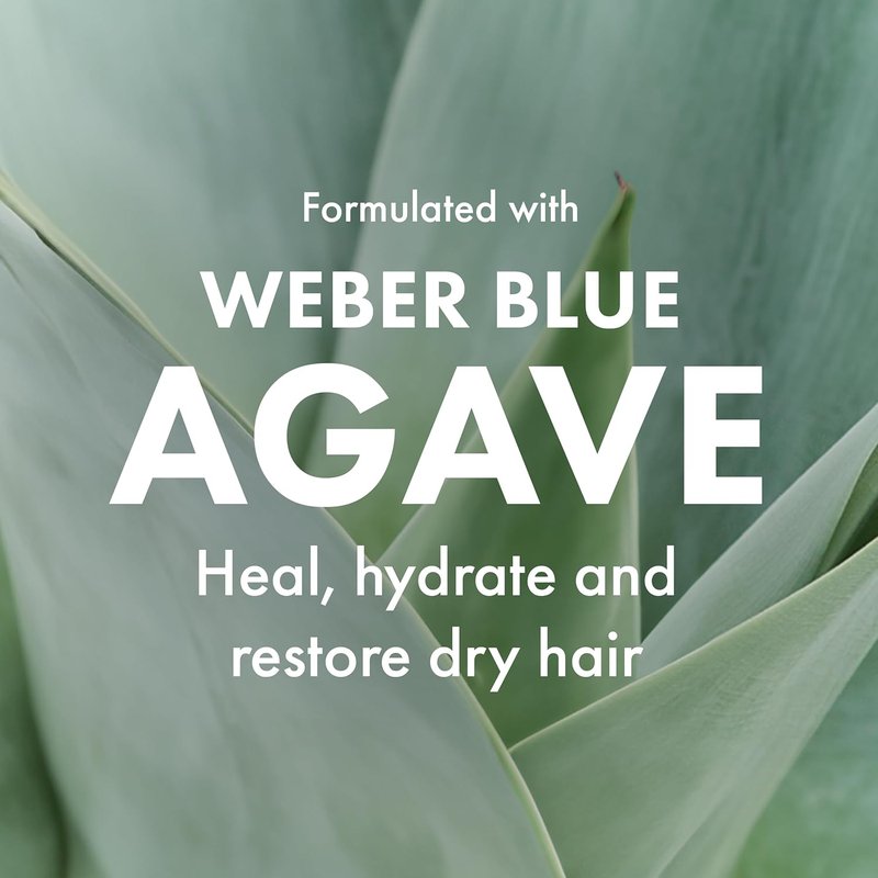 Agave Healing Oil Treatment - Lightweight Rejuvenating Hair Oil for All Hair Types | Natural Agave Extract, 2 Fl Oz