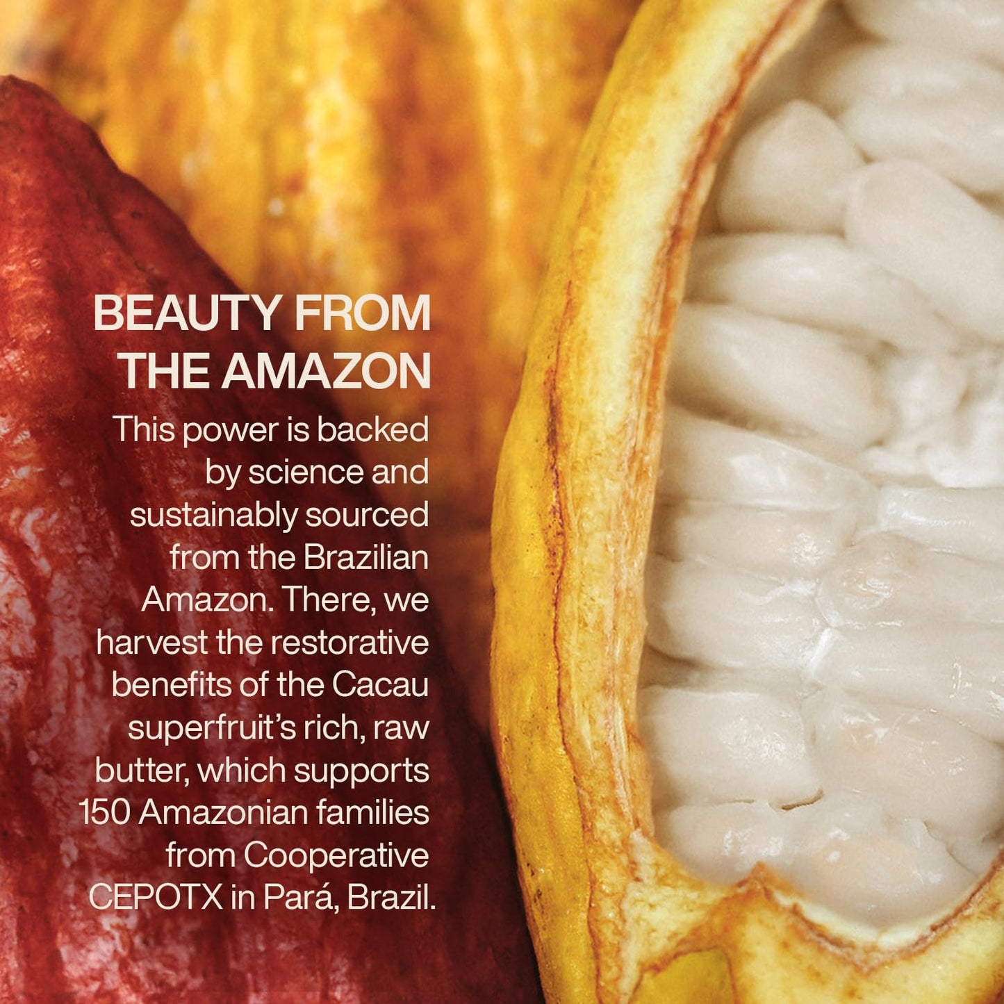 natura Ekos Cacau Collagen Boosting Body Lotion - Vegan Skin Care - Moisturize & Firm Skin Texture - Boost Collagen Production - Brazilian Beauty Secrets - Self Care & Body Care - 13.5 fl oz (400 ml)