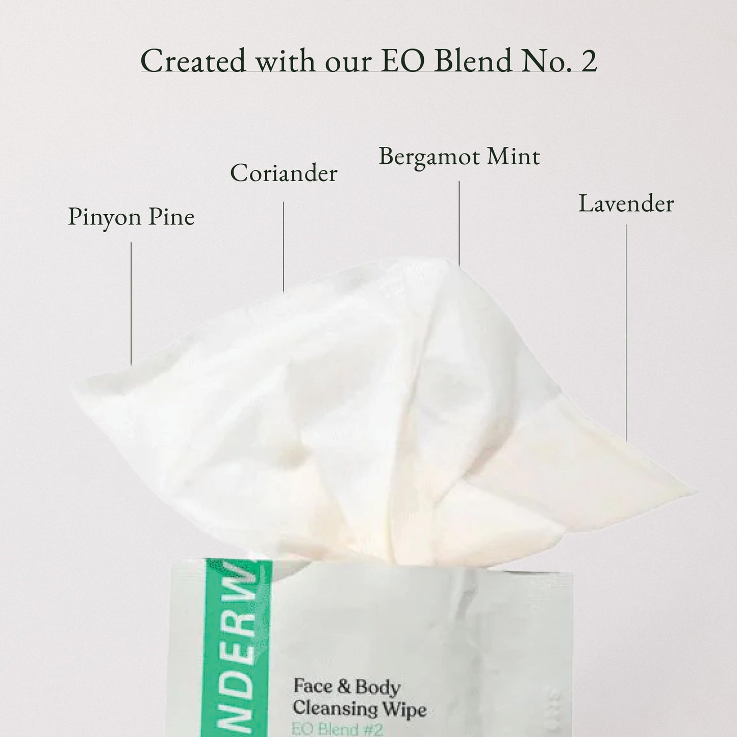 Beyonderway Essential Oil Blend No 2 Cleansing Wipes 10 Pack Travel Size Face & Body Wipes Alcohol Free Biodegradable Ultra Soft for Refreshing On the Go Cleansing