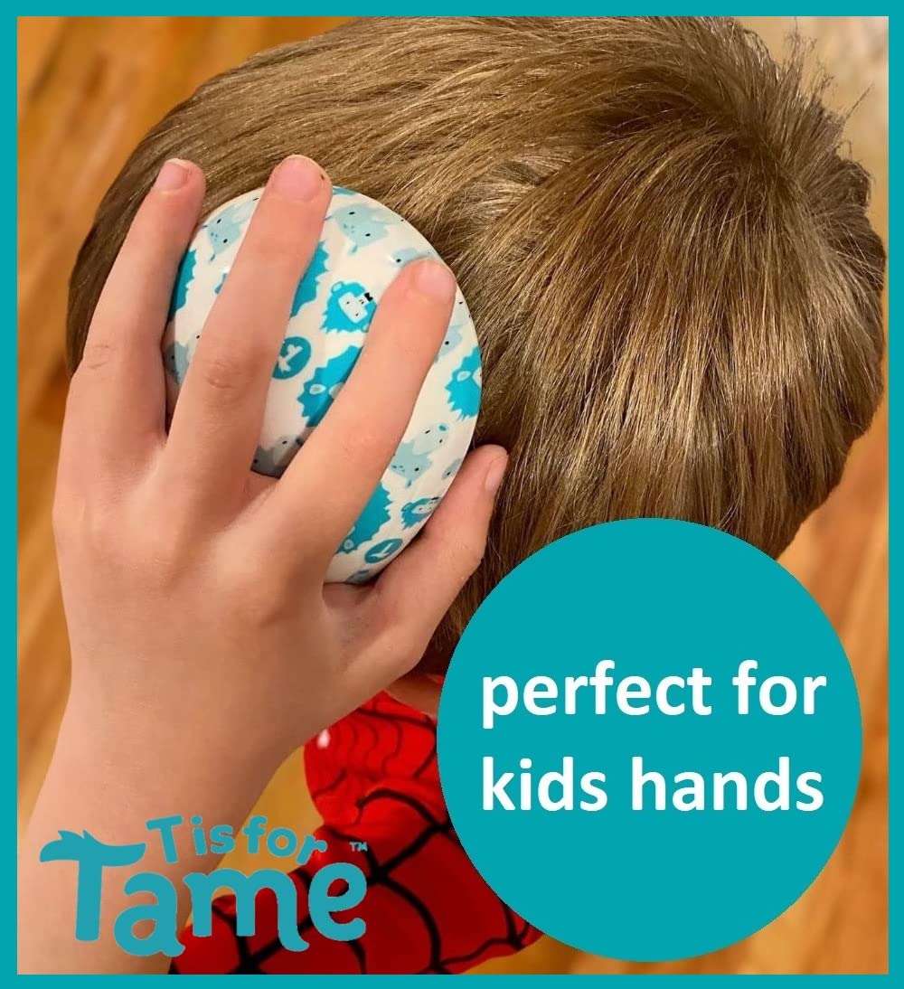 T is for Tame – Detangling Brush for Toddlers & Kids, Mini Detangler Brush Tames Knots W/Out Tears or Tantrums, Perfect Size & Shape for Kids Hands, Developed by Mom of Twins (1 Single Brush)