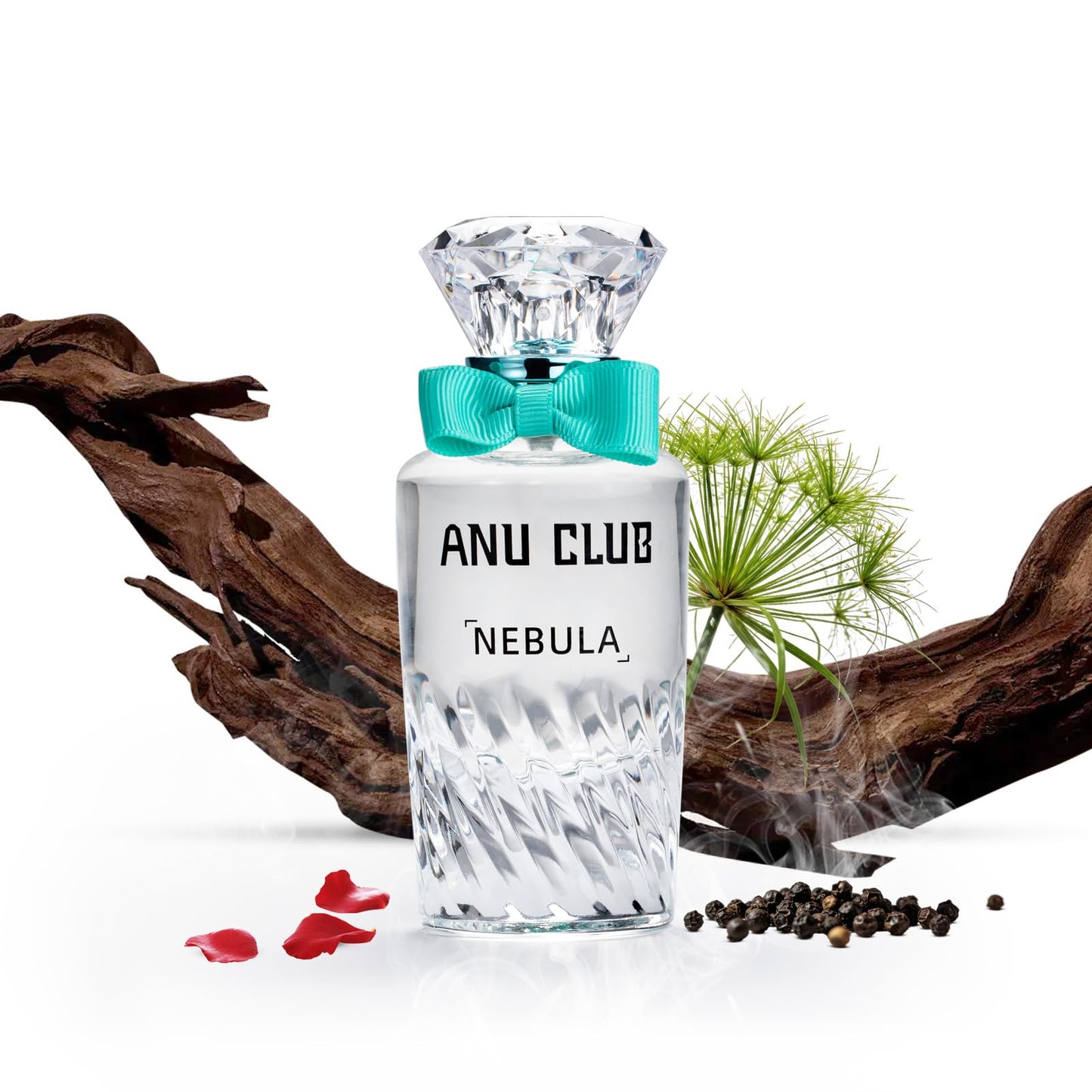 AnuClub Perfume for Unisex Men Women Eau de Parfum Woody Notes Long-Lasting Fragrance Spray Perfume 1.7 fl.oz / 50 ml, Nebula