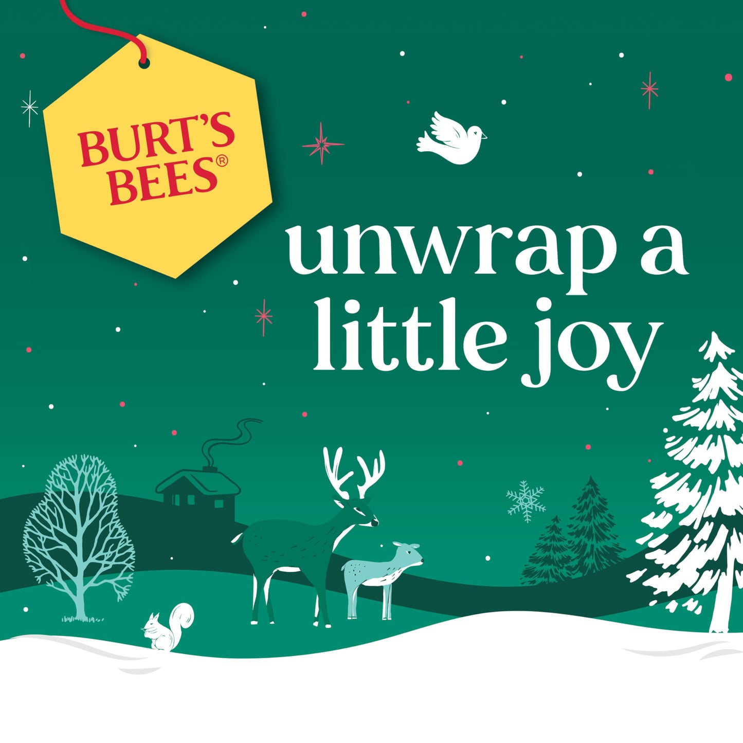 Burt's Bees Mask Bundle Gift Set; , Ultra Conditioning Lip Balm and Moisturizing Lip, Refreshing Sheet and Calming Sheet Masks; Festive Packaging; 1 Gift Set