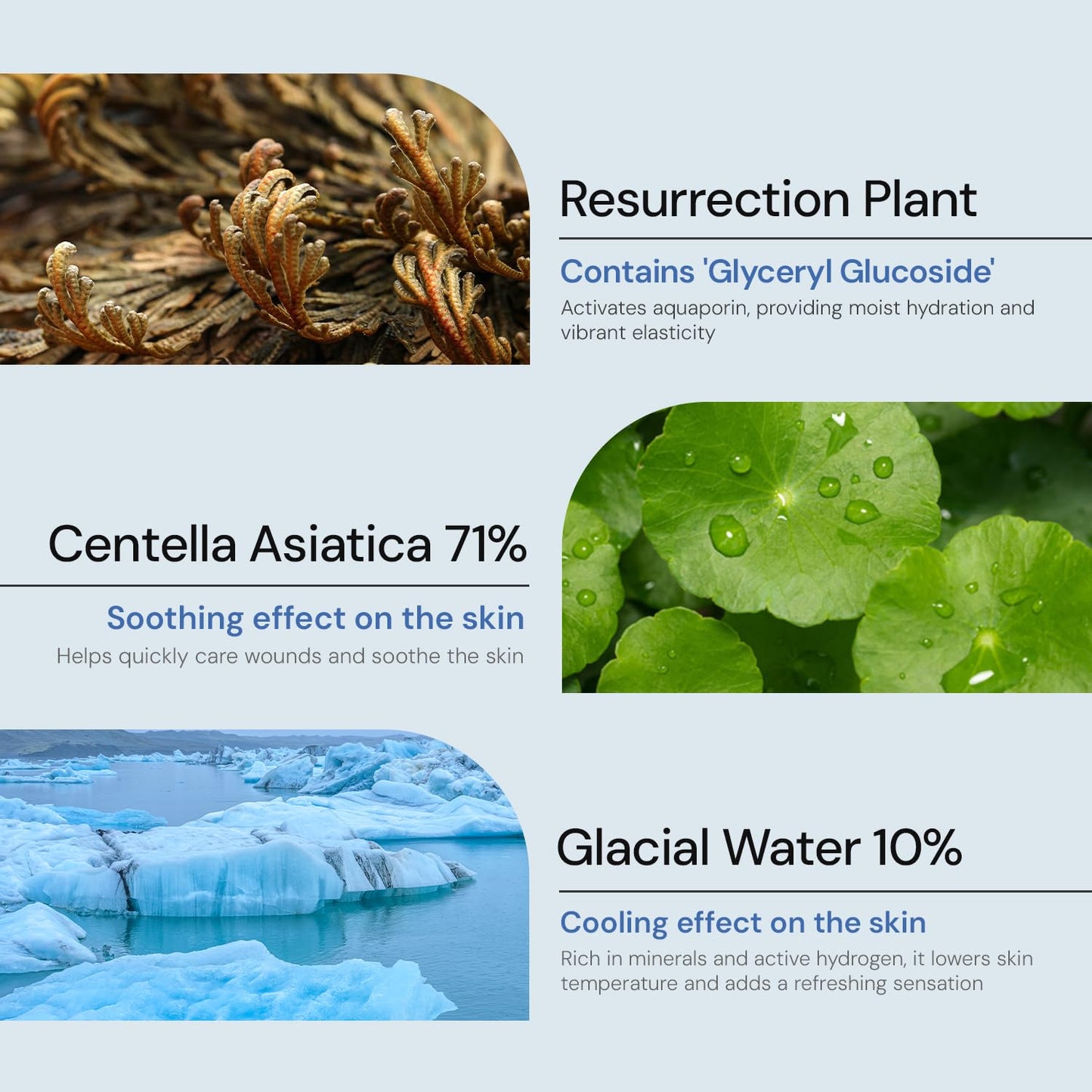A MAR DA 24/7 Revival Toner 500ml (16.9 fl.oz.) Hydrating & Calming Facial Toner for Sensitive Skin, pH-Balancing, Deep Hydration with Centella Asiatica, Glycoin, Glacier Water
