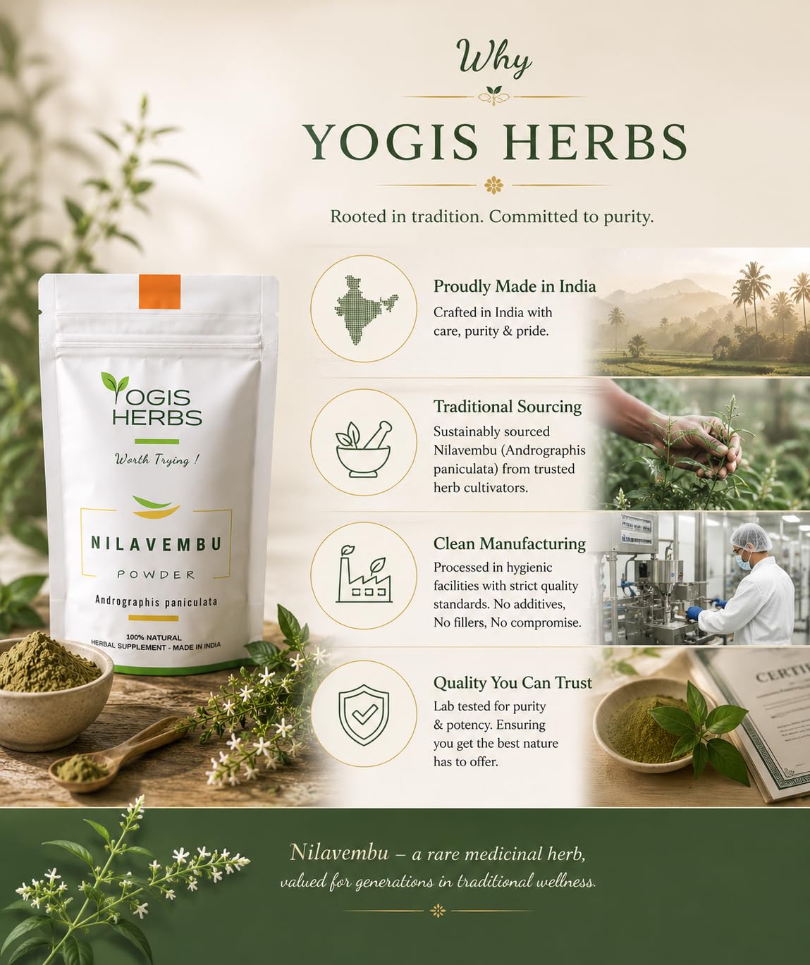 YOGIS HERBS Nilavembu Powder — Andrographis paniculata/Kalmegh/King of Bitters — Traditional Tamil Siddha Herb for Daily Wellness, Seasonal Comfort & Immune-Supporting Routines — Single-Ingredient