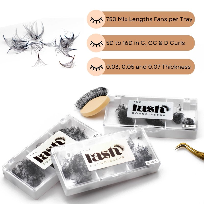 8D - C Curl 750 Fans Mixed Promade Fans Lash Extensions | TLC Lash Supplies 4D to 16D Premade Fans 7 mm to 16 mm Mixed Length Thin Base Premade Fans Eyelash Extensions (8D - C Curl, 14-15-16 mm)