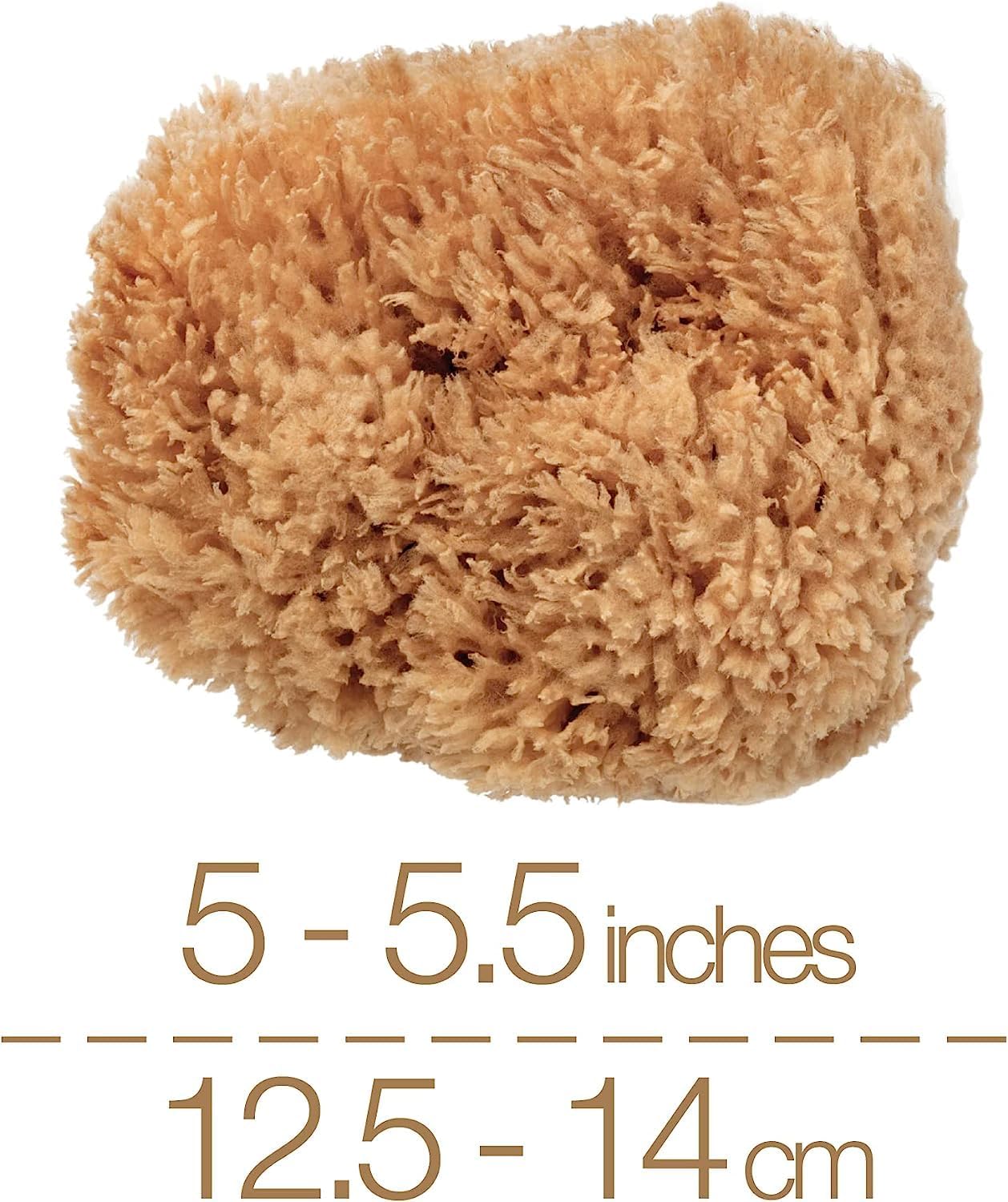 Natural Sea Sponge - Premium Exfoliating Sponge for Sensitive Skin | 12.5-14cm, Sustainably Harvested