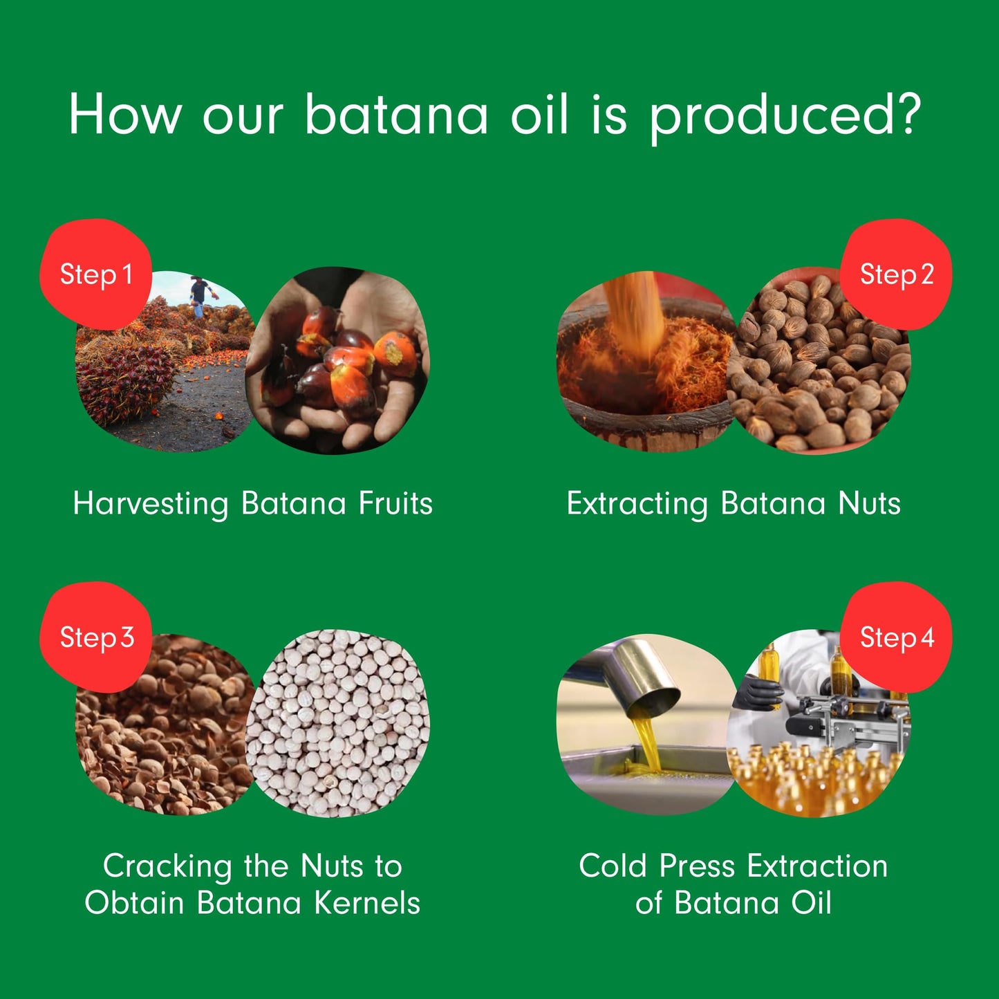 Dersie Batana Oil with Massager Applicator: Organic Batana Oil from Honduras - 100% Pure & Natural (4 fl oz)