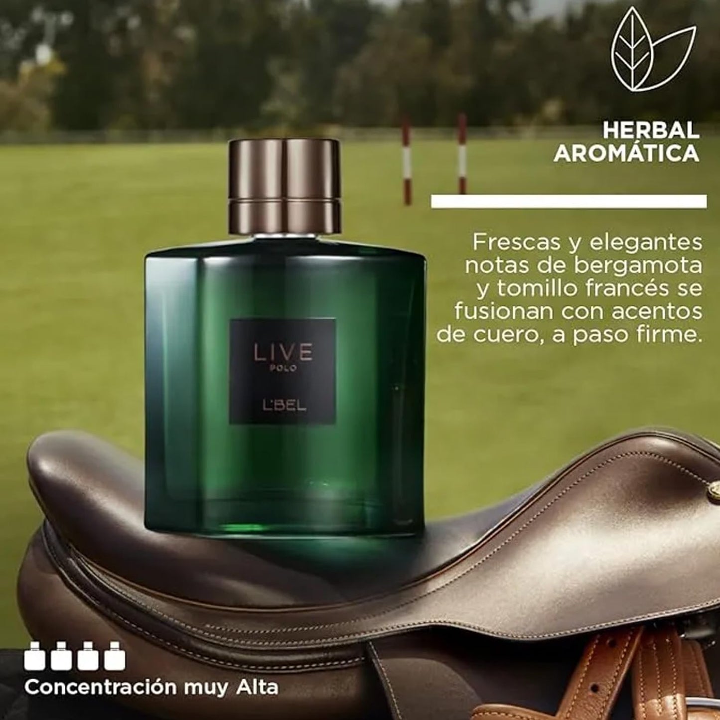 L'Bel – Live Polo Long Lasting Men's Perfume 100 ml/3.4 oz