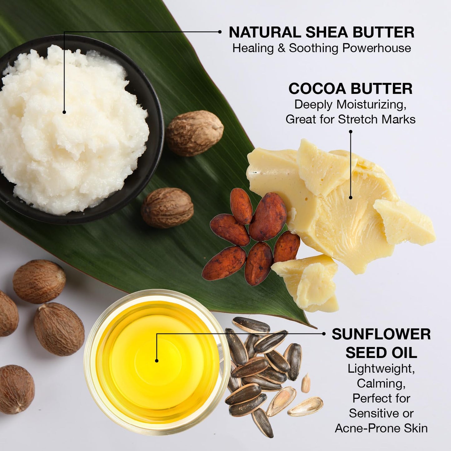 Ginger Lily Farms Botanicals Shea Indulgence Deep Hydration Liquid Hand Soap Refill, 100% Vegan & Cruelty-Free, Vanilla Sugar Bliss Scent, 1 Gallon (128 fl oz)