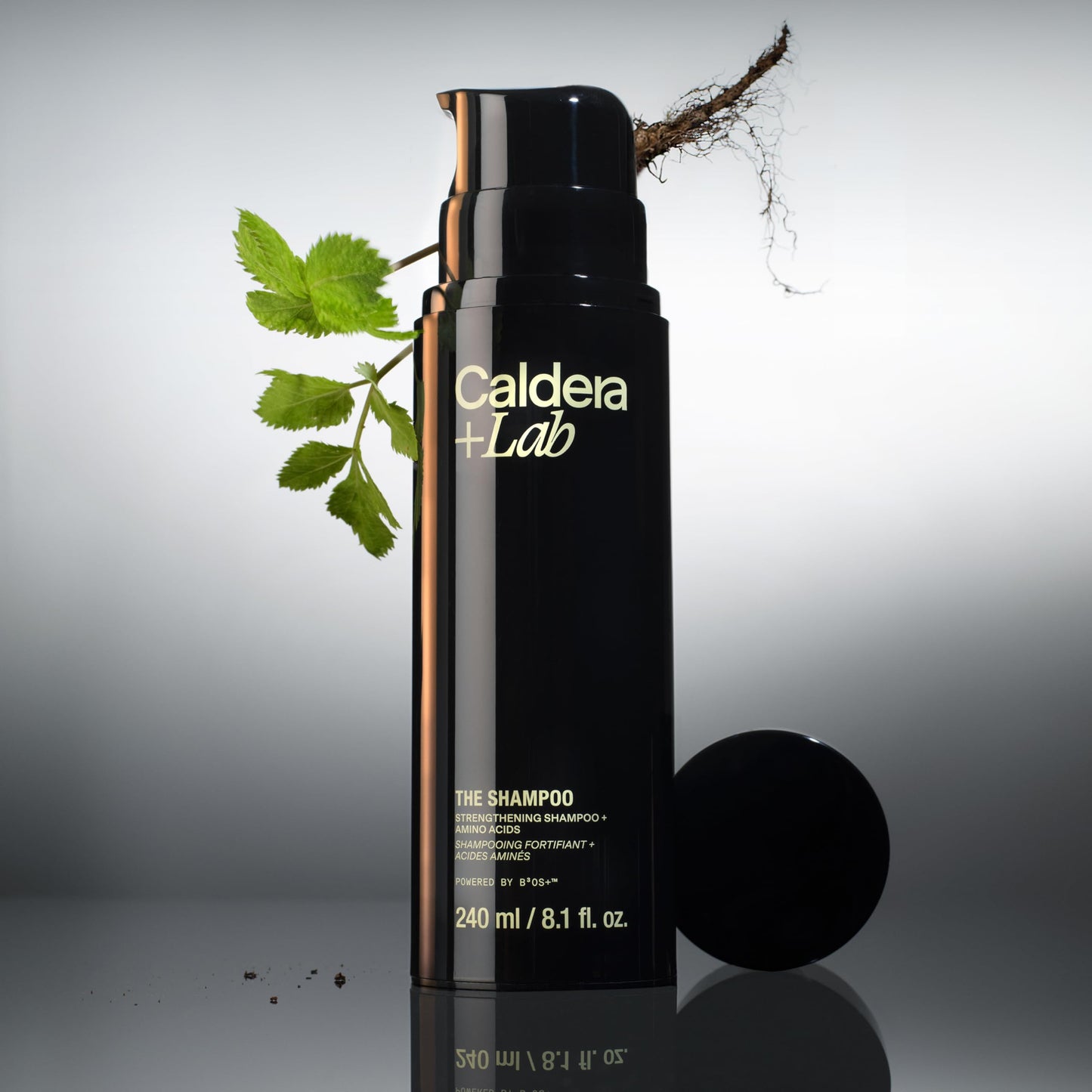 Caldera + Lab The Shampoo | Men’s Shampoo for Healthy Hair, Sulfate-Free Daily Cleanser, Dermatologically Tested - All Hair Types