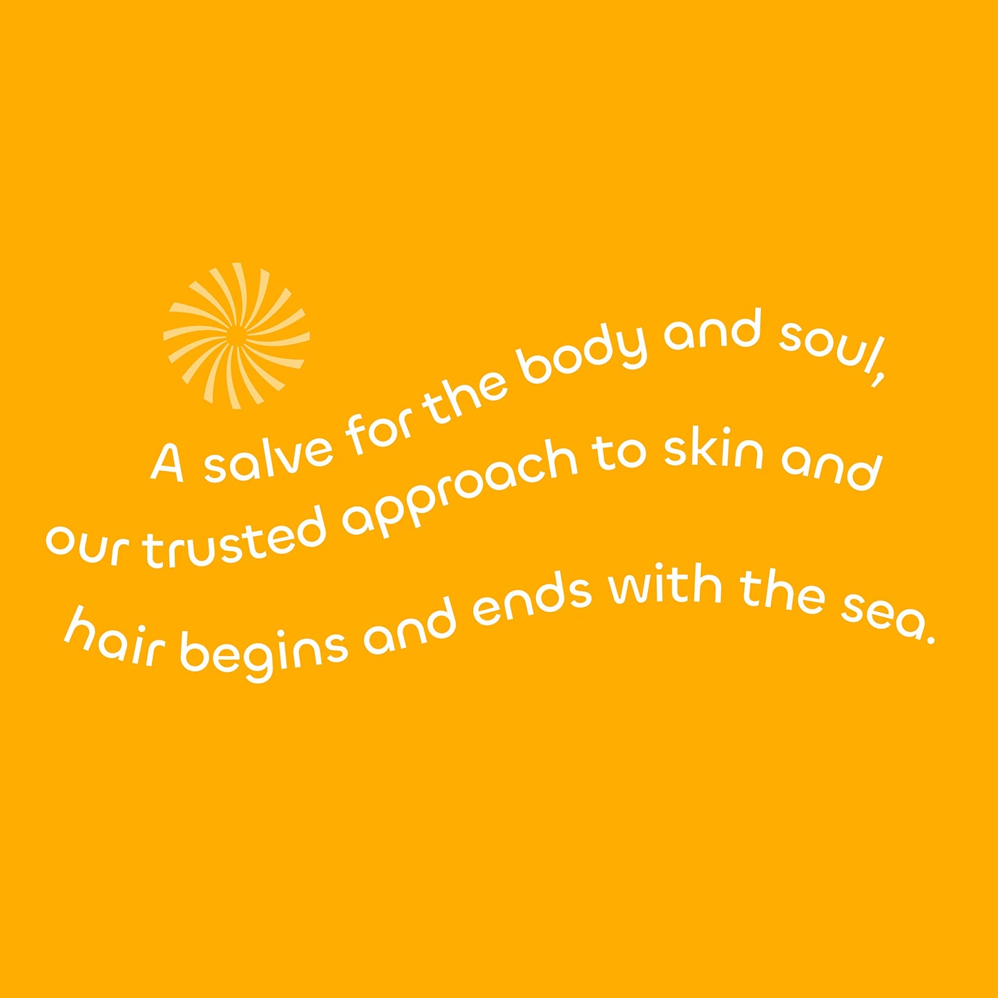 Seaweed Bath Co. Body Wash and Body Cream Duo, 12 Ounce, 6 Ounce, Citrus Vanilla Scent, Sustainably Harvested Seaweed