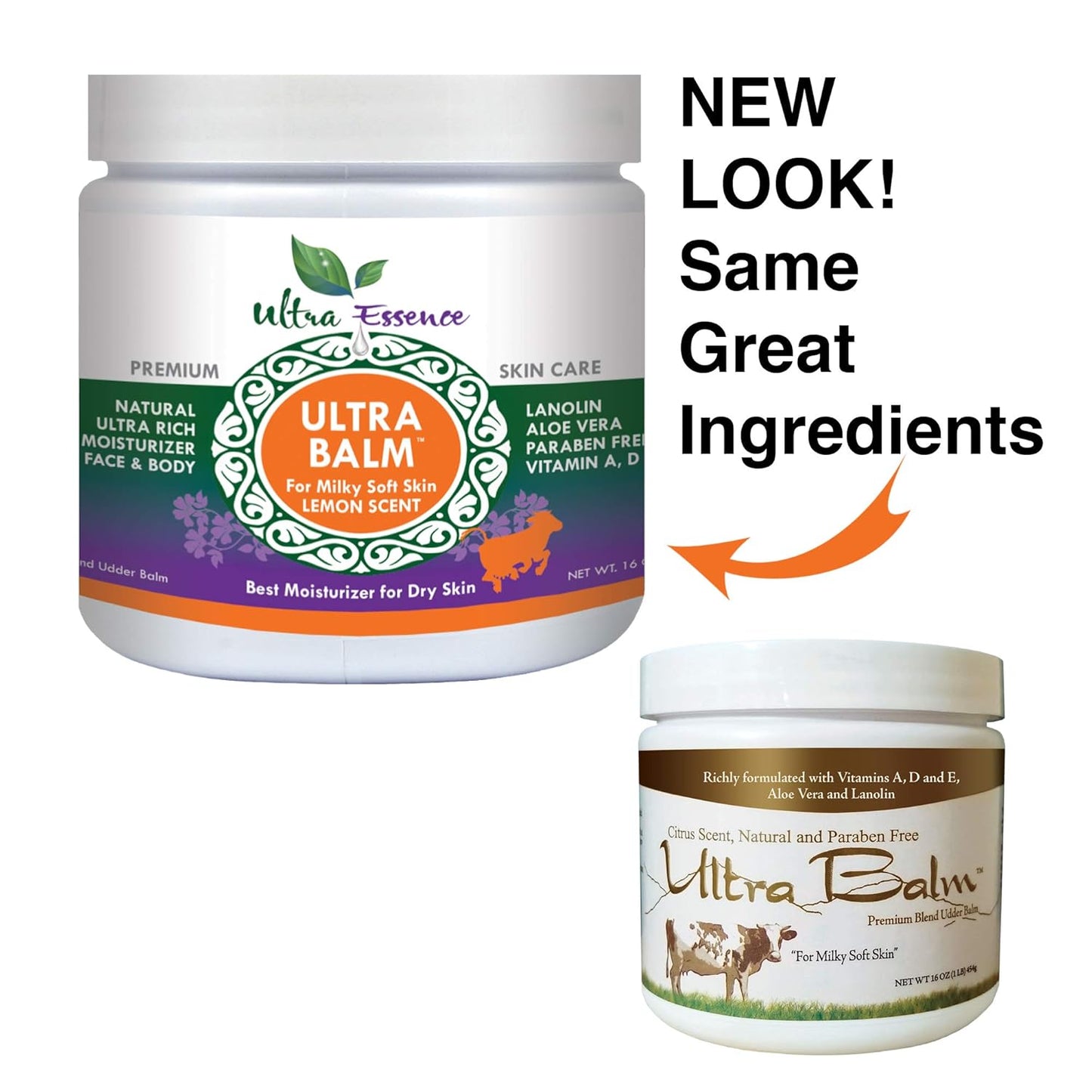 Daily Moisturizer for Dry, Itchy Skin | 16 oz with Aloe Vera, Vitamins A, D & E, Lanolin - Soothes Psoriasis & Eczema