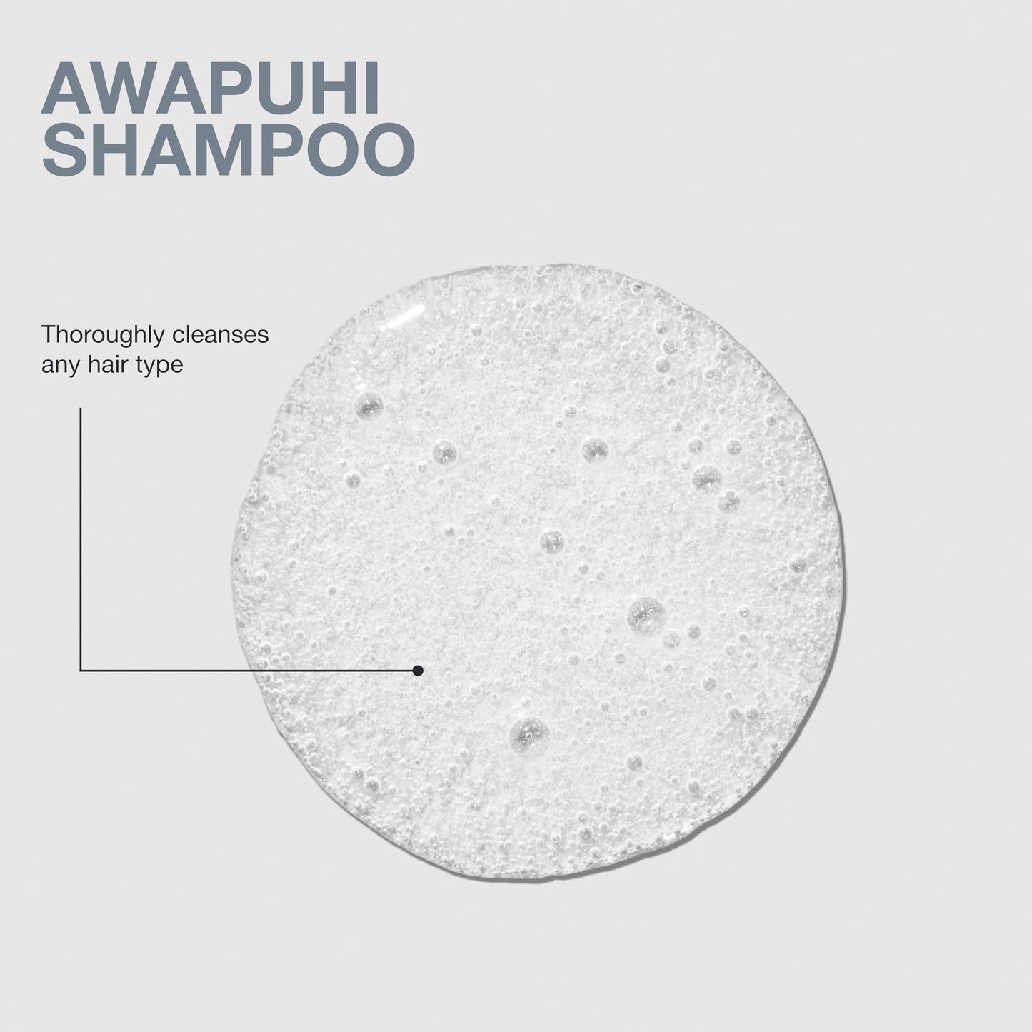 Paul Mitchell Awapuhi Shampoo, Balances Moisture + Adds Shine, For All Hair Types, Especially Fine + Static-Prone Hair, 2.5 fl. oz.