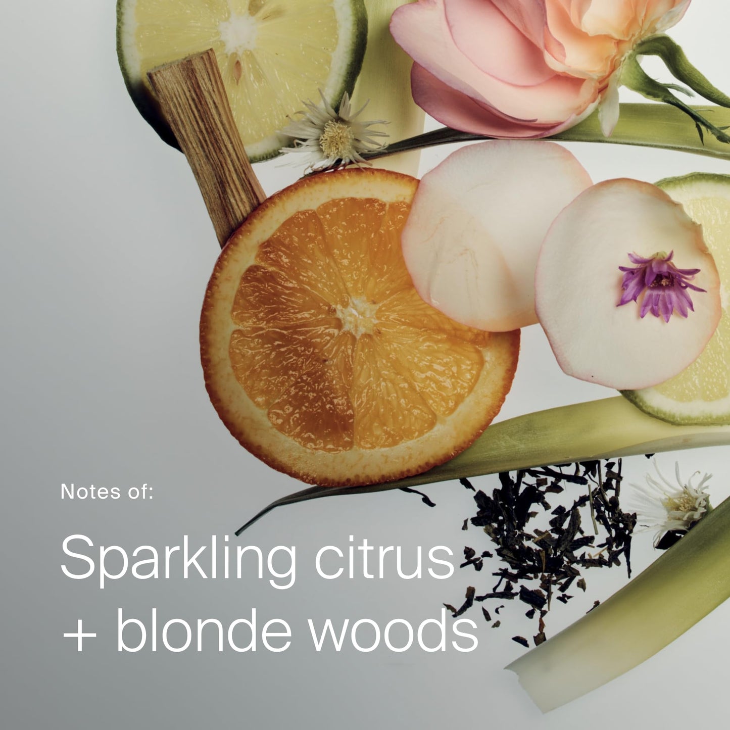 Living Proof Curl Definer
