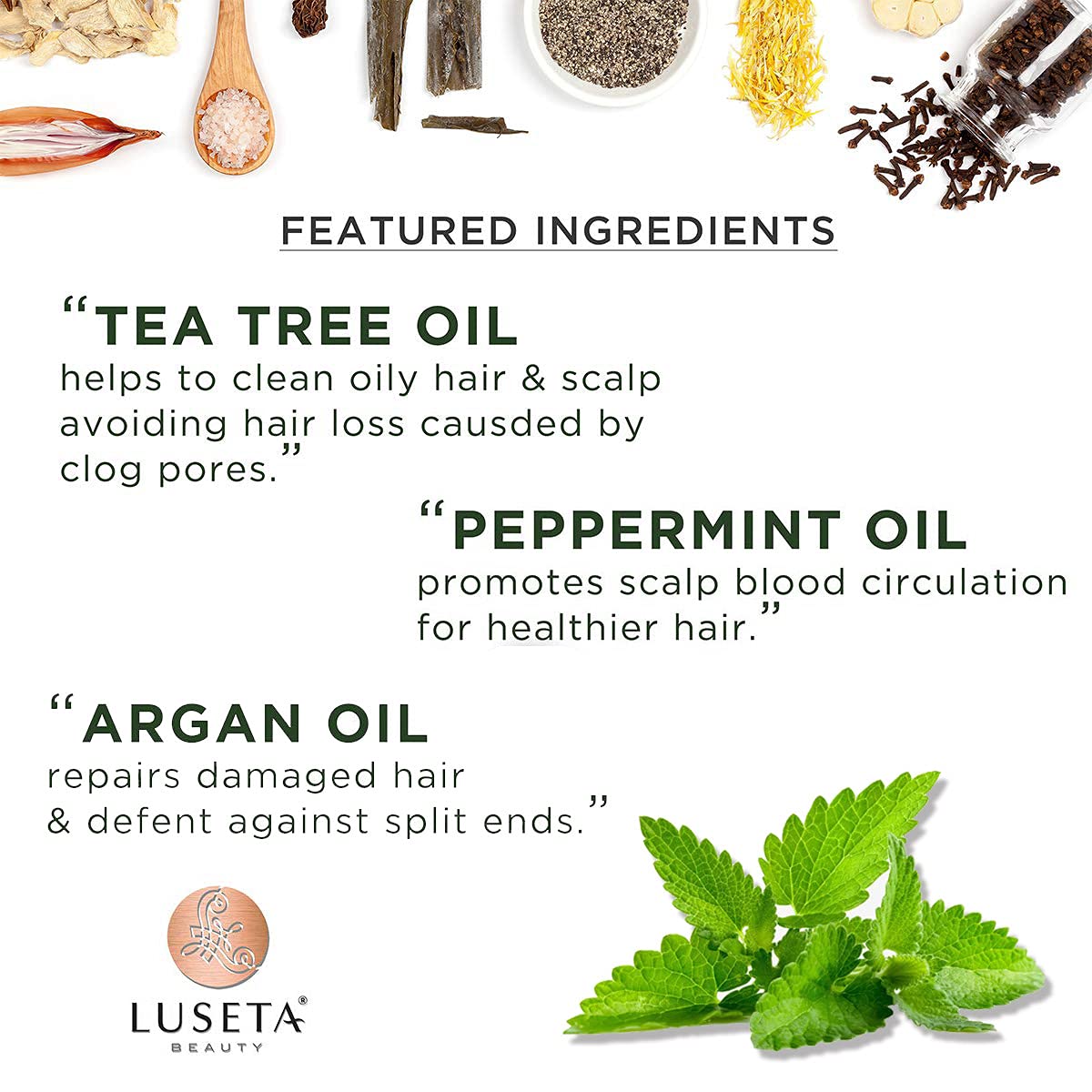 Luseta Tea Tree & Mint Shampoo Cleansing and Soothing for All Hair Types Nourishing & Invigorating Scalp Fights Dandruff 16.9 Oz