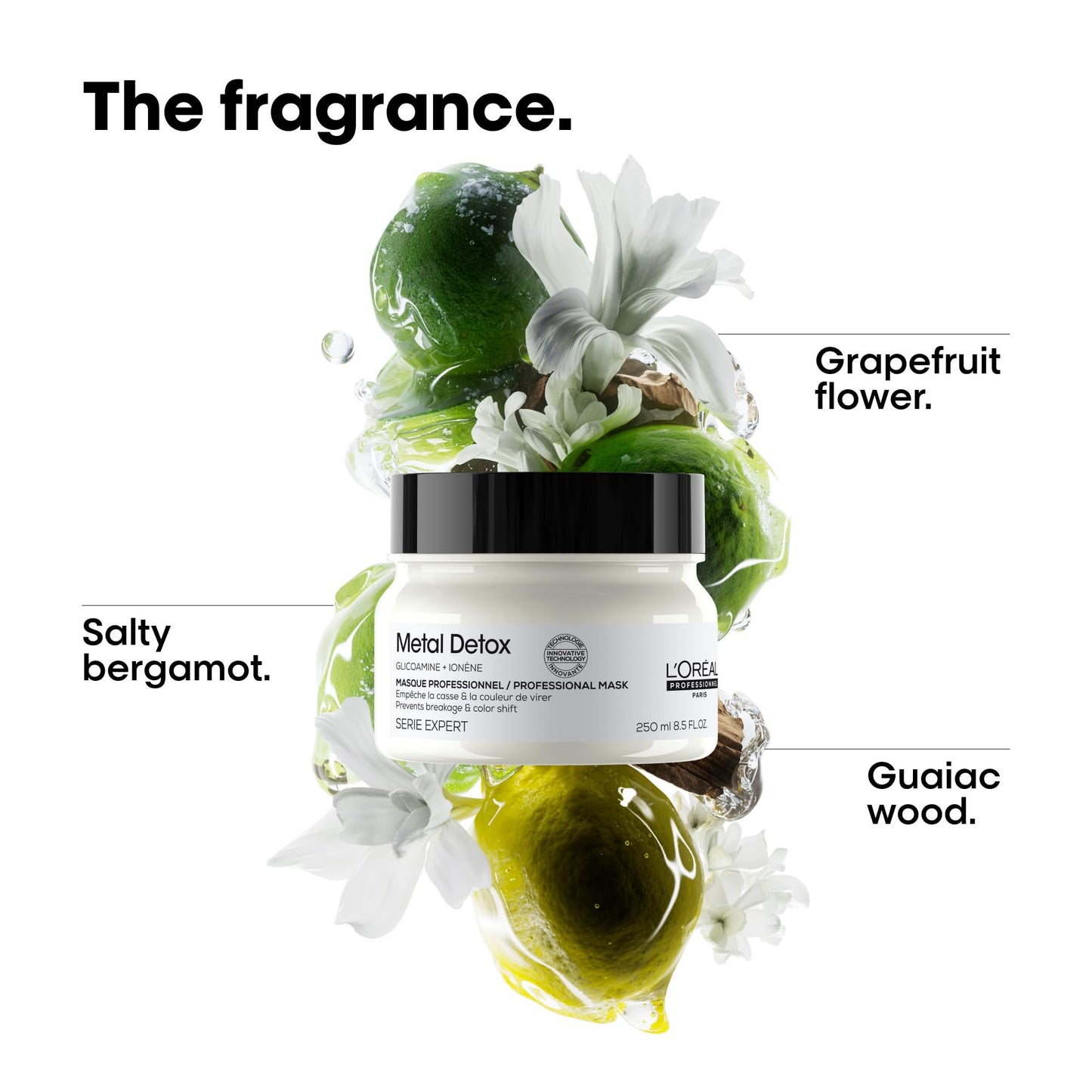 L’Oreal Professionnel Metal Detox Mask - Hydrating Hair Mask For Dull & Brittle Hair, Prevents Damage & Color Fading