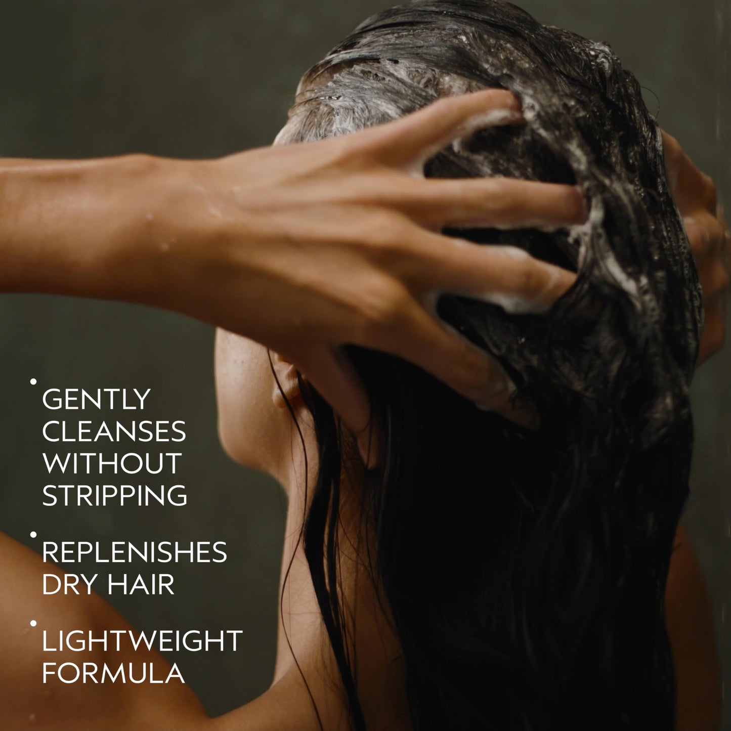 Aveda Nutriplenish Shampoo Light Moisture | Hydrating Shampoo for Fine to Medium Dry Hair | Organic Pomegranate Oil, Coconut Oil, Mango Butter | 93% Naturally Derived*, 1.7 Fl Oz