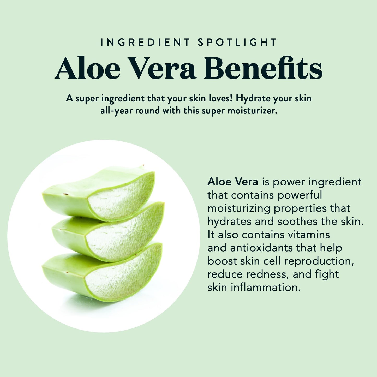 Bare Botanics Aloe Vera Mist + Bergamot Mint Body Salt Scrub