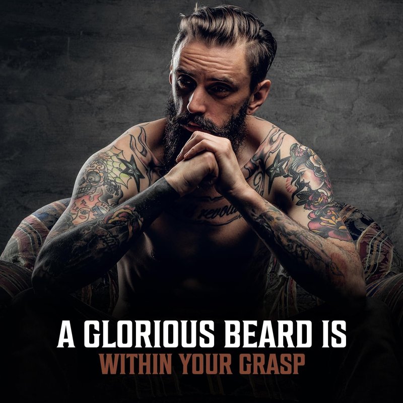 Viking Revolution Beard Oil for Men 3 Pack - Natural Mens Beard Oil Variety Set - Sandalwood, Pine and Cedar, Clary Sage Scents - Beard Conditioning and Moisturizing for a Healthy Beard (3 Pack, 1oz)