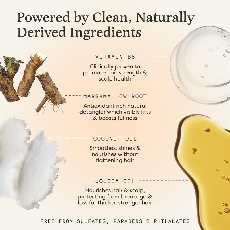 The Earthling Co. Volumizing Shampoo & Conditioner Bar Set For Thickening, Fullness, Strength, and Growth - Sulfate, SIlicone, Paraben Free for Thin, Flat, Fine Hair - Made in USA (Vanilla Coconut)