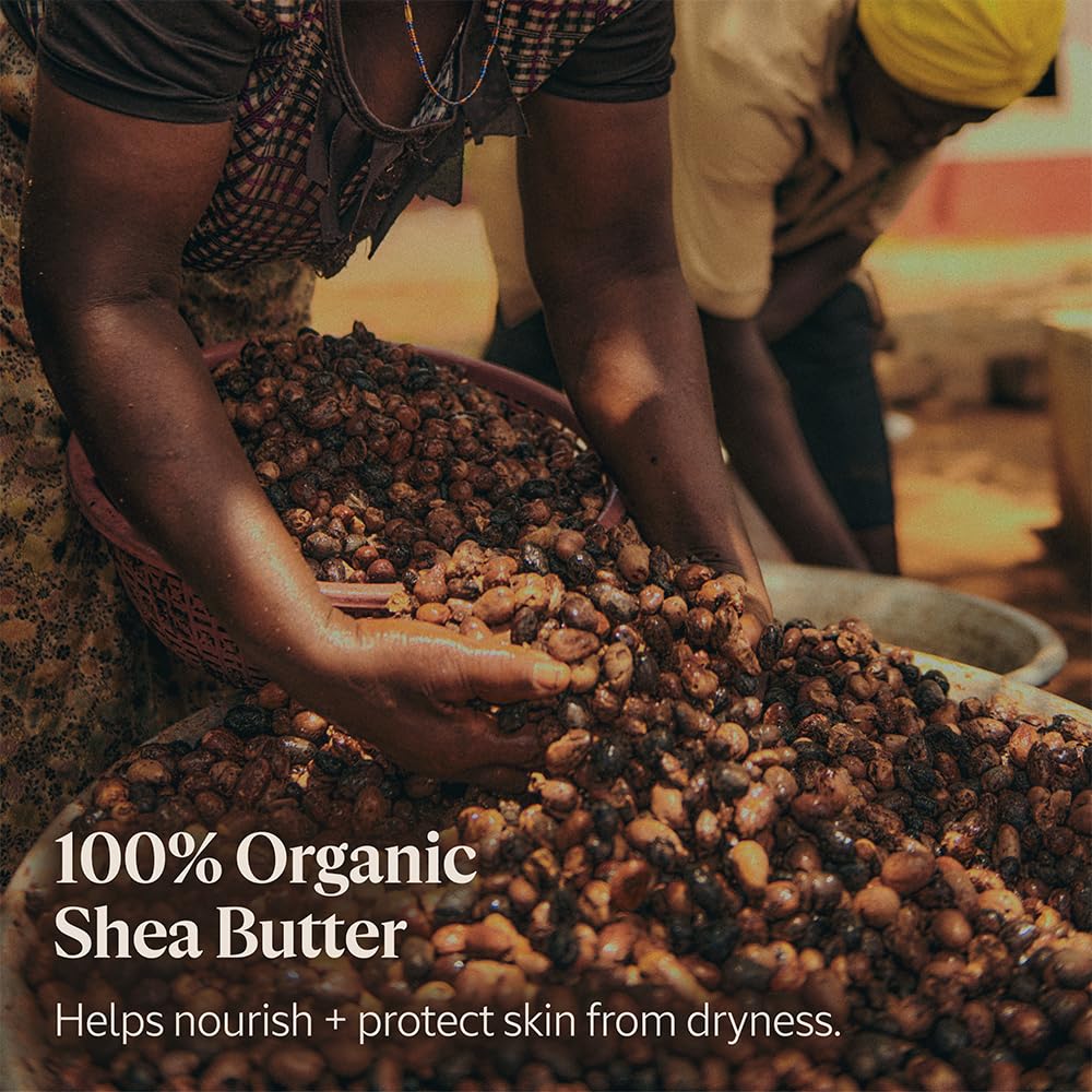L'OCCITANE Organic Shea Butter Hand Cream - Nourishing & Fast-Absorbing | Vegan, Non-Greasy, Moisturizes Dry Hands