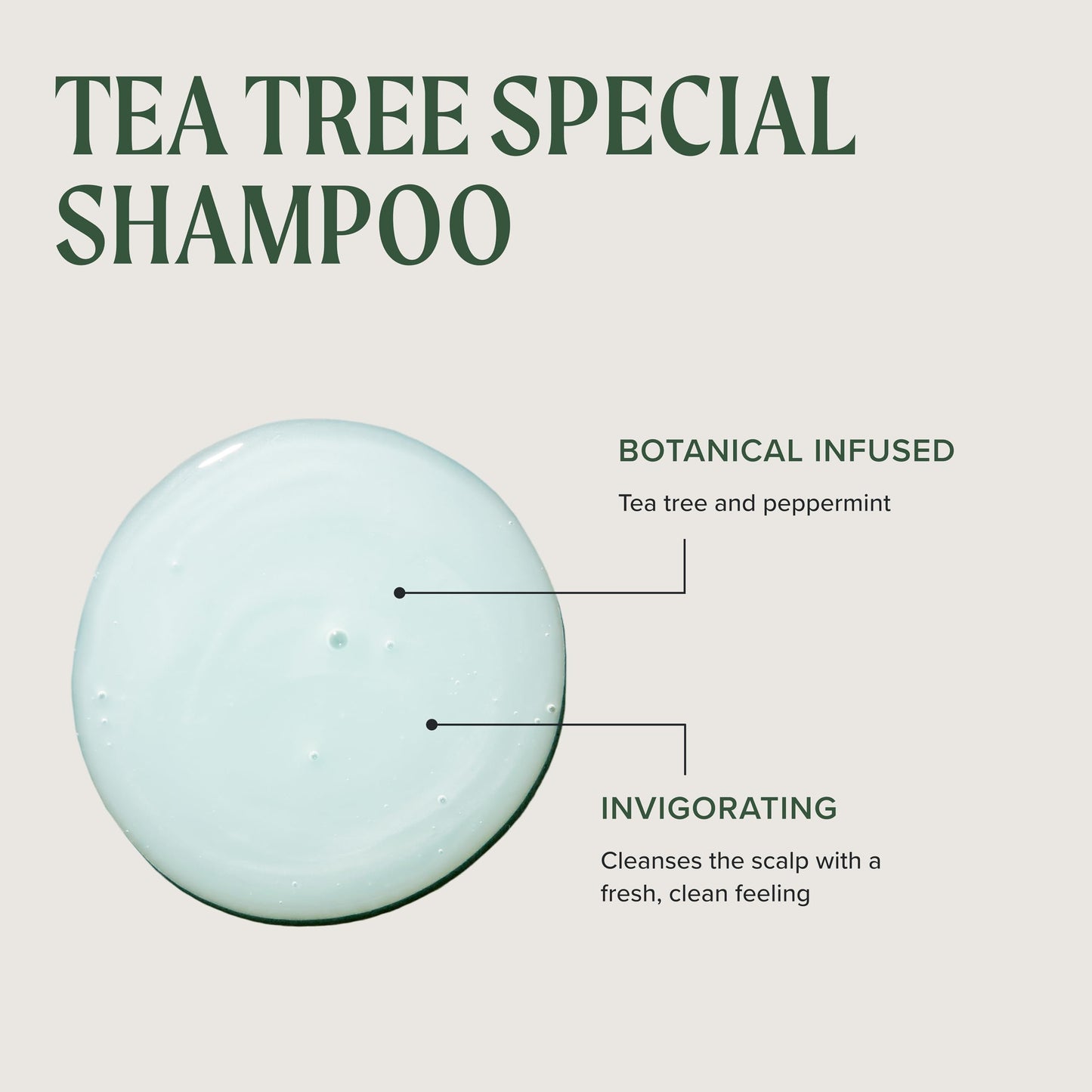 Tea Tree Special Shampoo Aluminum Bottle, Deep Cleans, Refreshes Scalp, For All Hair Types, Especially Oily Hair, 16.9 oz