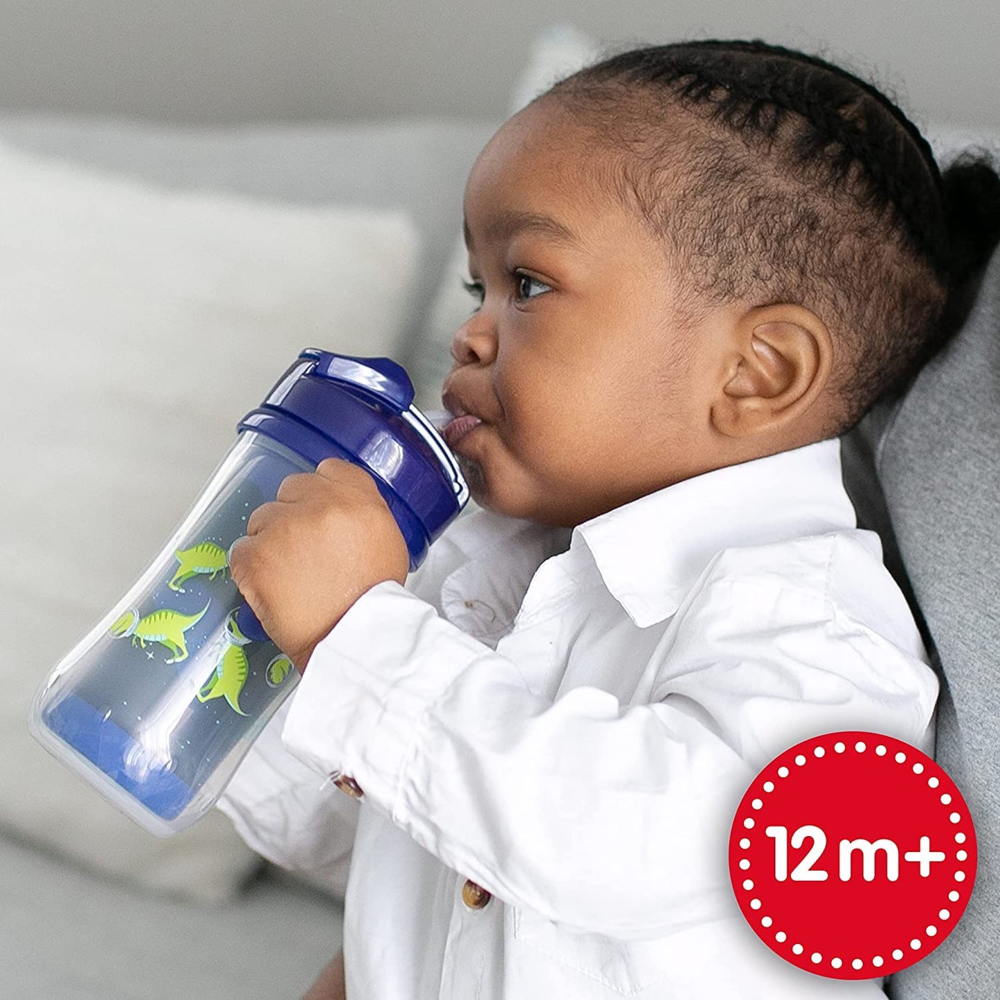 Dr. Brown's Milestones Insulated Sippy Cup with Straw and Handles, Spill-Proof Tumbler with Lid, 2-Pack, Blue, 10 oz/300 mL, BPA Free, 12m+