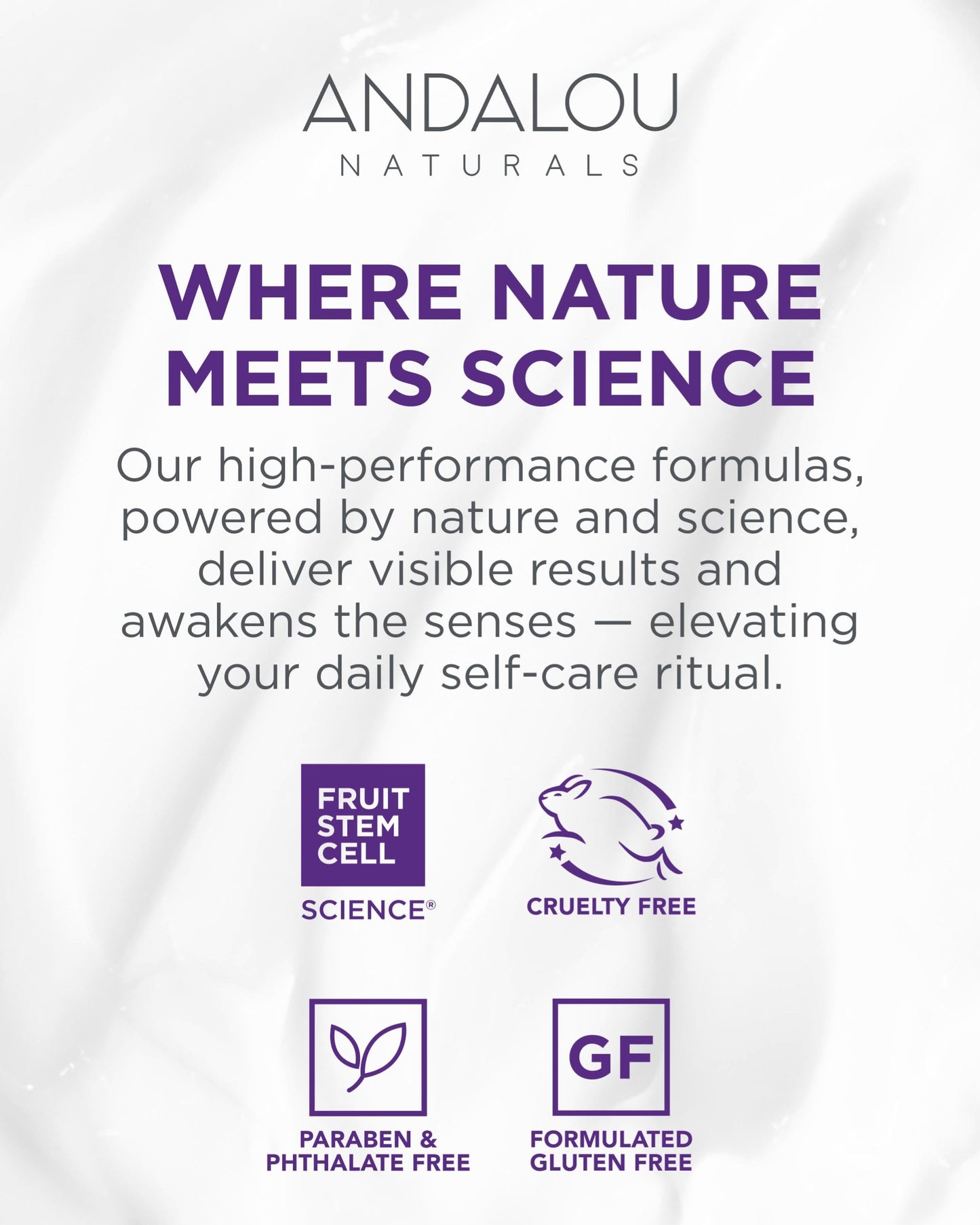 Andalou Naturals Resveratrol Q10 Night Repair Cream, For Dry Skin, Fine Lines & Wrinkles, For Softer, Smoother, Younger Looking Skin, 1.7 Ounce