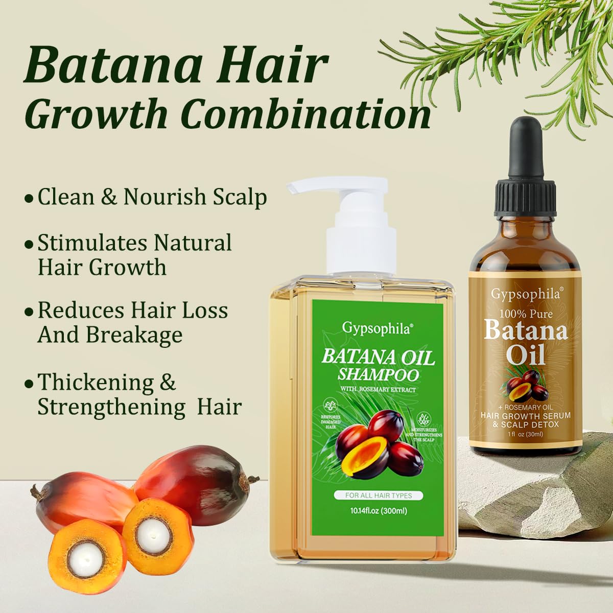 Gypsophila Batana Oil Hair Growth Bundle-Batana Oil Shampoo and 100% Pure Natural Rosemary -Natural Hair Treatment for Women & Men –Hair loss & Thicker, Healthier Hair