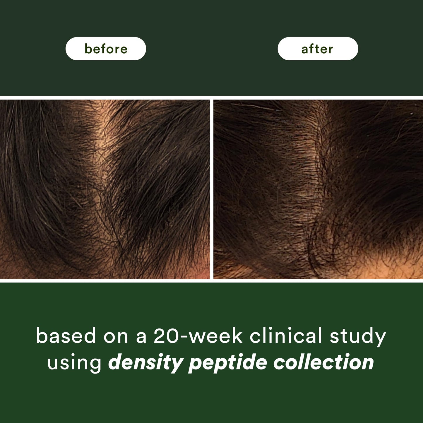 VERB Density Peptide Shampoo 12 fl oz - Visibly Thicken + Reduce Signs of Shedding- No Parabens or Harmful Sulfates