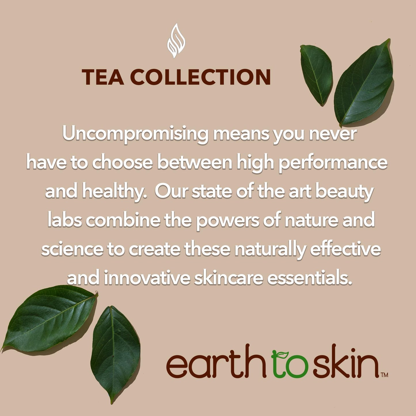 Earth To Skin Tea Time White Tea Day Cream - Moisturizer Face Cream with Hyaluronic Acid, Shea Butter and Glycerin - Smooth and Nourish Skin All Day - Face Moisturizer for Dry Skin Care - 4 fl oz
