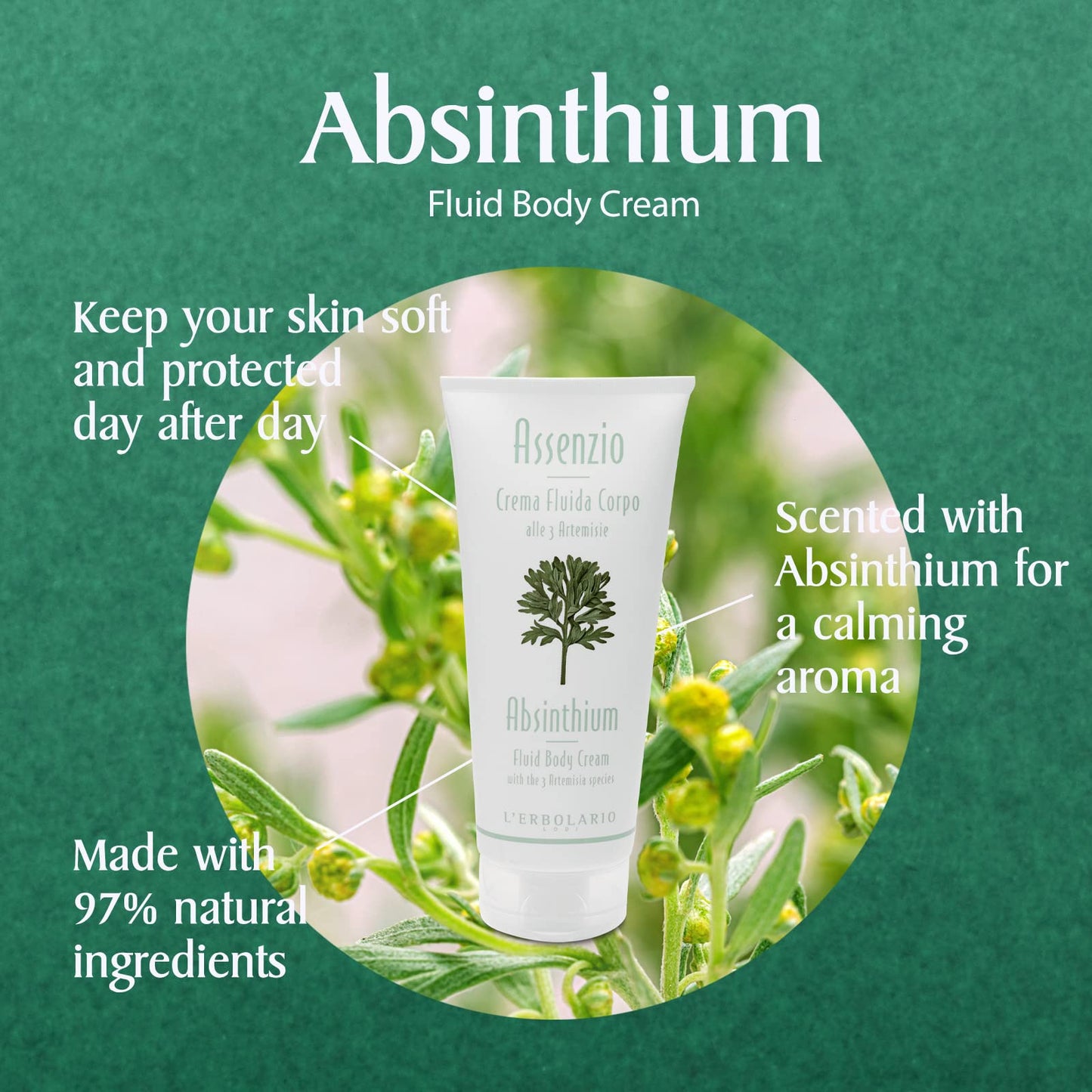 L’Erbolario Body Cream – Moisturizing Body Butter for All Skin Types – Revitalizing and Firming Skin Care with Herbal Notes - Absinthium – 6.7 oz
