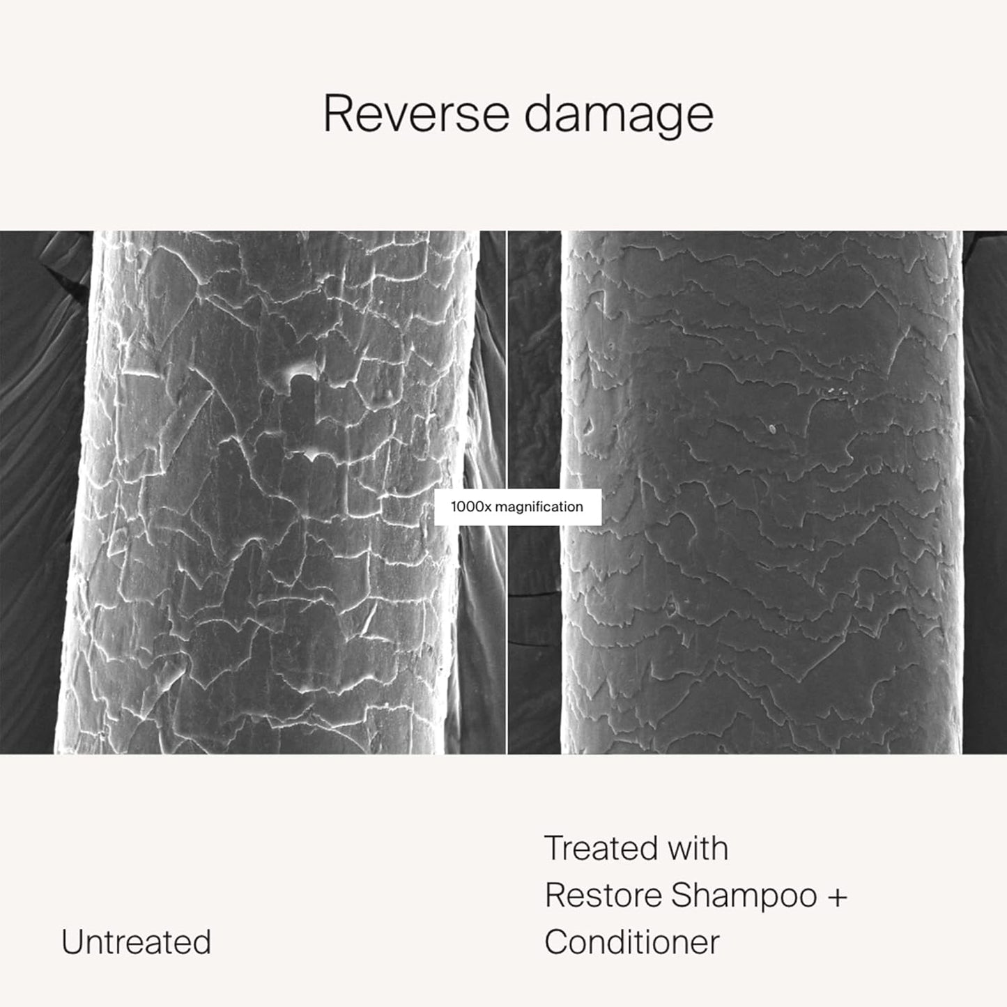 Restore Shampoo - Revitalize Dry, Damaged Hair | Sulfate-Free Formula