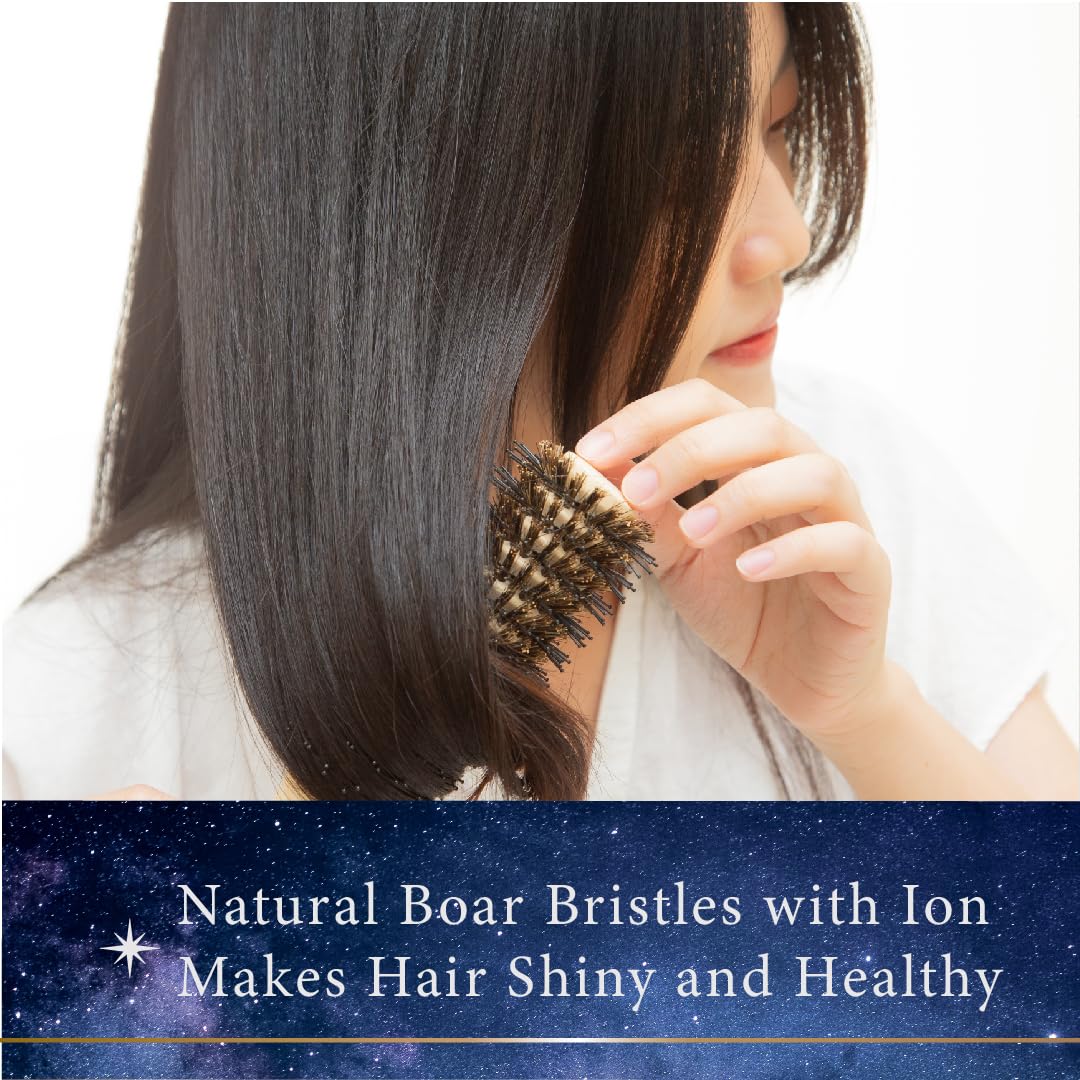 Pandora's Beauty Box The 101 GoShiny hairbrush/FSC Wooden Brush/Styling/BlowOut/Heat Resistance Brush/Boar Bristle Hair Brush/Roller Brush/Round Brush (Mini,)