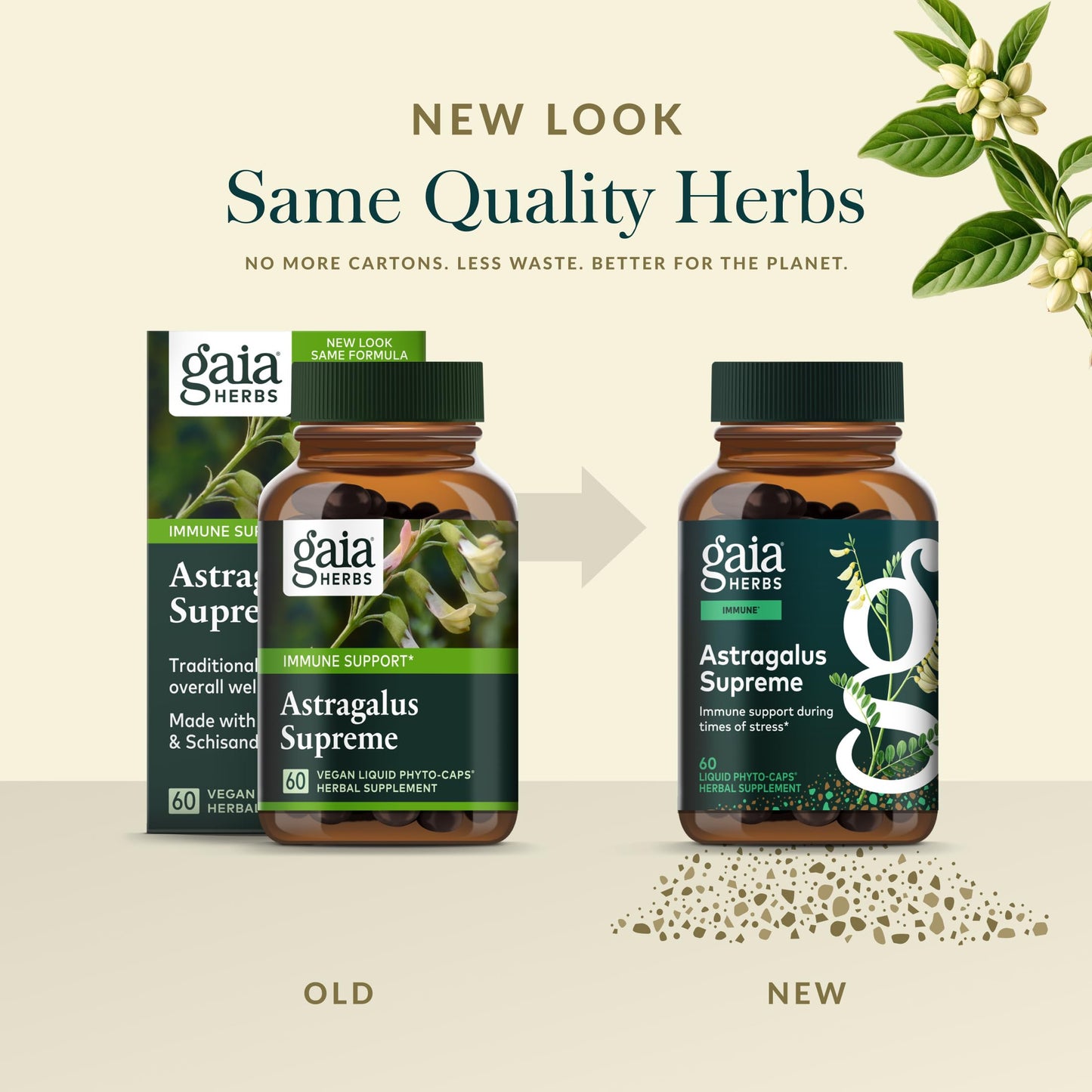 Gaia Herbs Astragalus Supreme - Immune & Antioxidant Support* - Herbal Supplement with Astragalus Root, Schisandra Berry & Ligustrum - 60 Vegan Liquid Phyto-Caps (30 Servings)