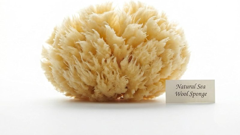Real Sea Wool Sponges - Natural Bath & Face Sponge Set, 2 Pack | Large 6”-7” & Medium 3”-4” Hypoallergenic Organic Sponges