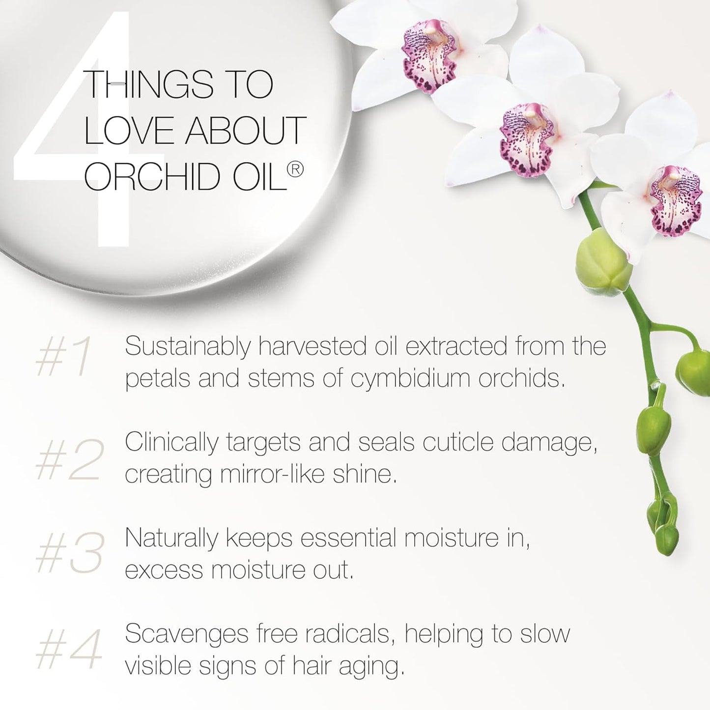 Ultra Nourishing Shampoo with Orchid Oil, Shea Butter & Coconut Oil | Strengthens & Hydrates Curly Hair (250ml)
