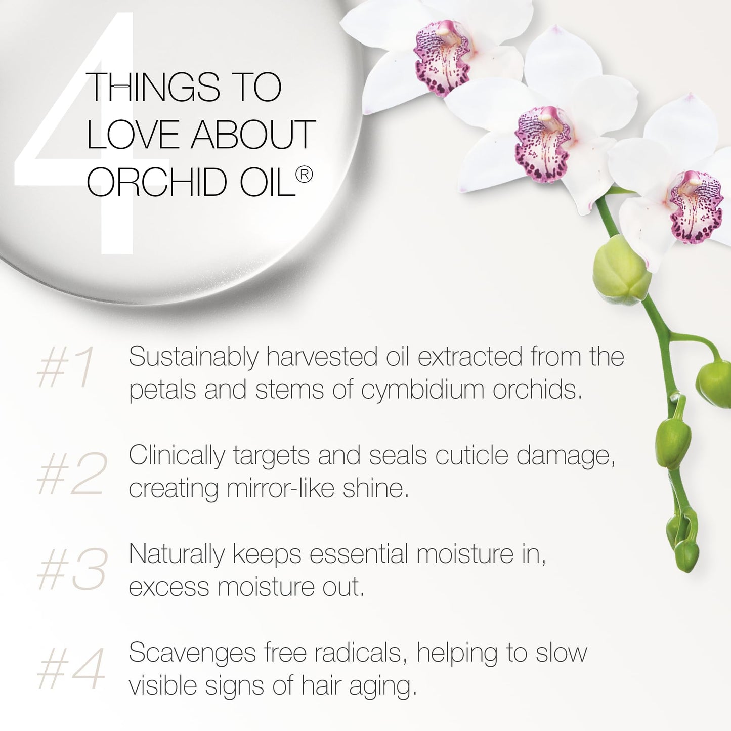 Redavid Orchid Oil Leave-In Conditioner - Ultra Nourishing Spray for Curly or Heavily Damaged Hair with Hemp Seed Oil and Healing Herbs - Clinically Strengthens, Adds Protein & Hydrates Hair