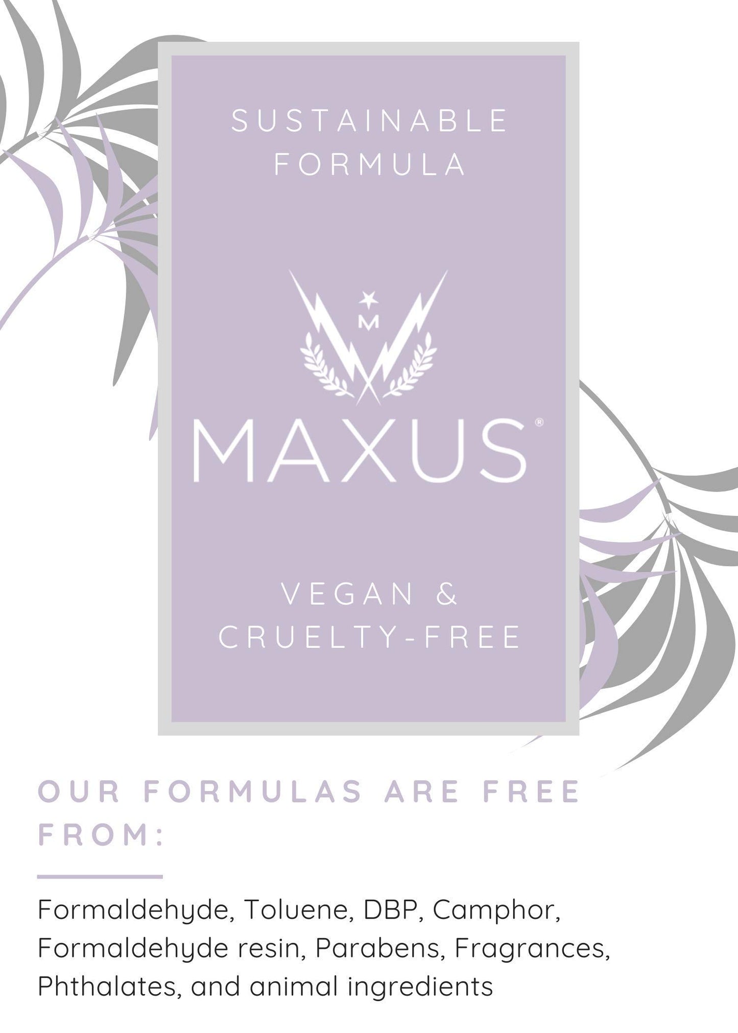Maxus Base + Top Bundle