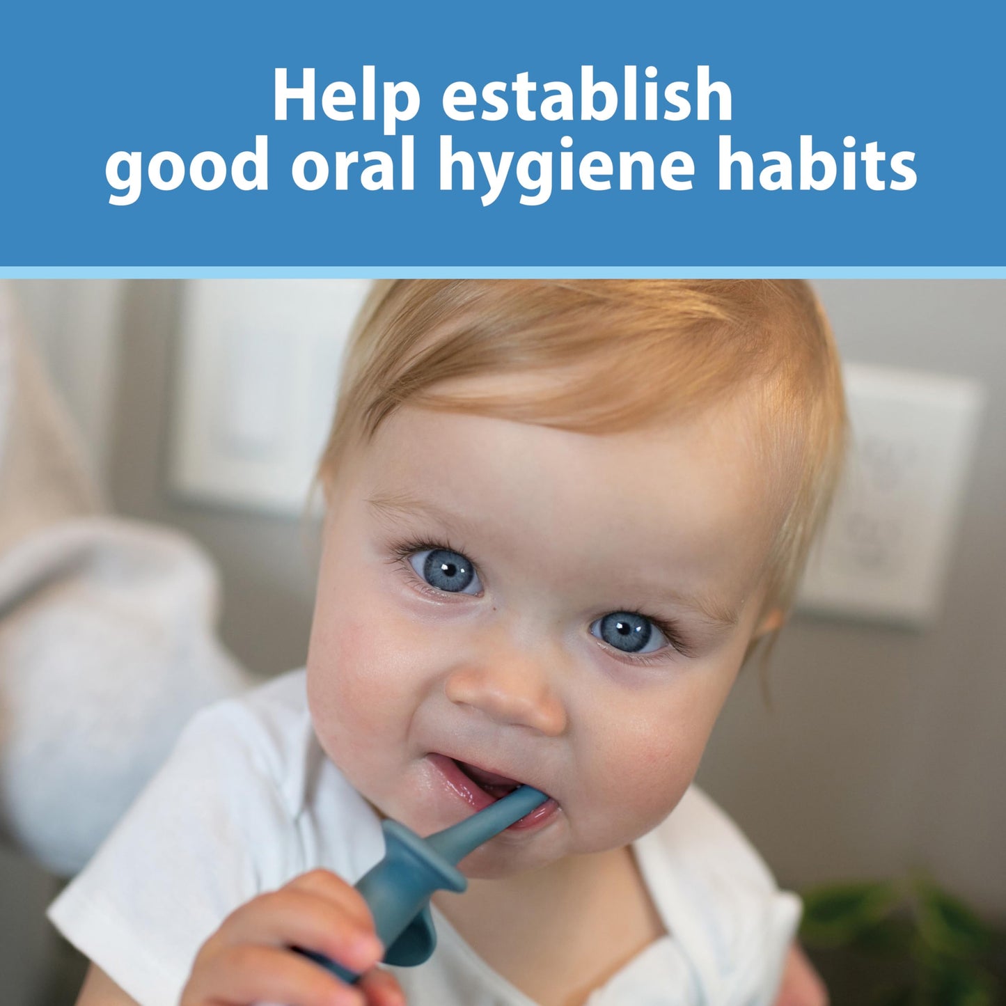 Dr. Brown's Infant-to-Toddler Toothbrush, Elephant, Blue, 0-3 Years