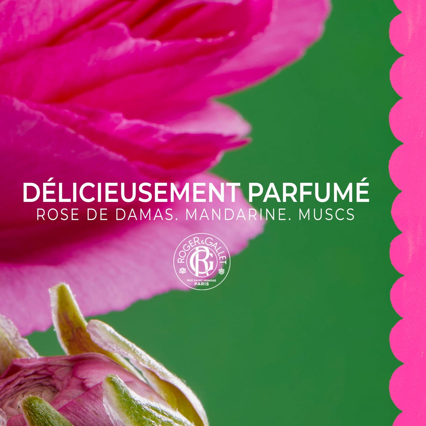 ROGER & GALLET Perfumed Soap Bar – French-Milled Gentle Cleansing Soap with Citrus & Aromatic Fragrance, 99% Natural Origin Ingredients (Rose | 3 Pack x 3.5 oz)