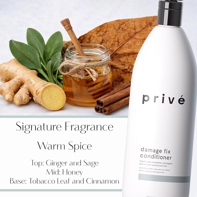 Prive Damage Fix Conditioner - Repairs Dry and Over-Processed Hair from Within Protects Future Additional - Smooths Frizz, Restores Shine, Strengthens Weak, Brittle Strands (12 Oz)