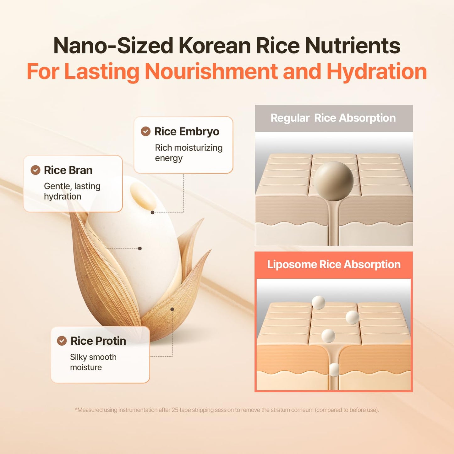 MAKE P:REM Rice Liposome Ceramide Barrier Cream, Skin Barrier Support, Long-Lasting 24H Hydrating Moisturizer, Korean Skin Care, 1.69 fl.oz. (50ml)